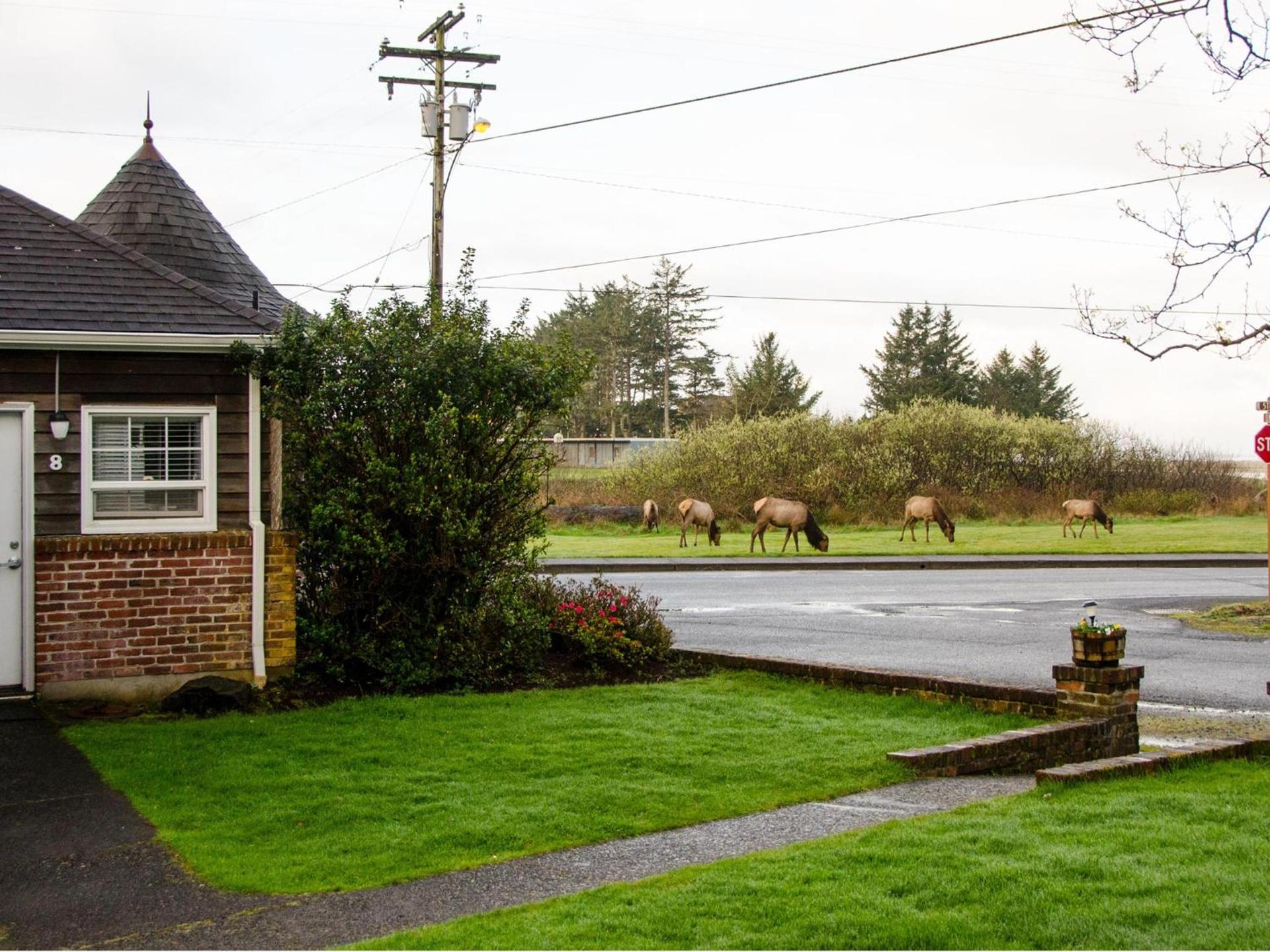 Ecola Creek Lodge photo 83