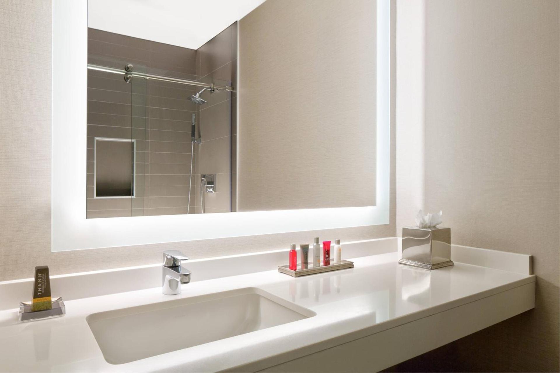 Wyndham Atlanta Buckhead Hotel & Conference Center photo 38