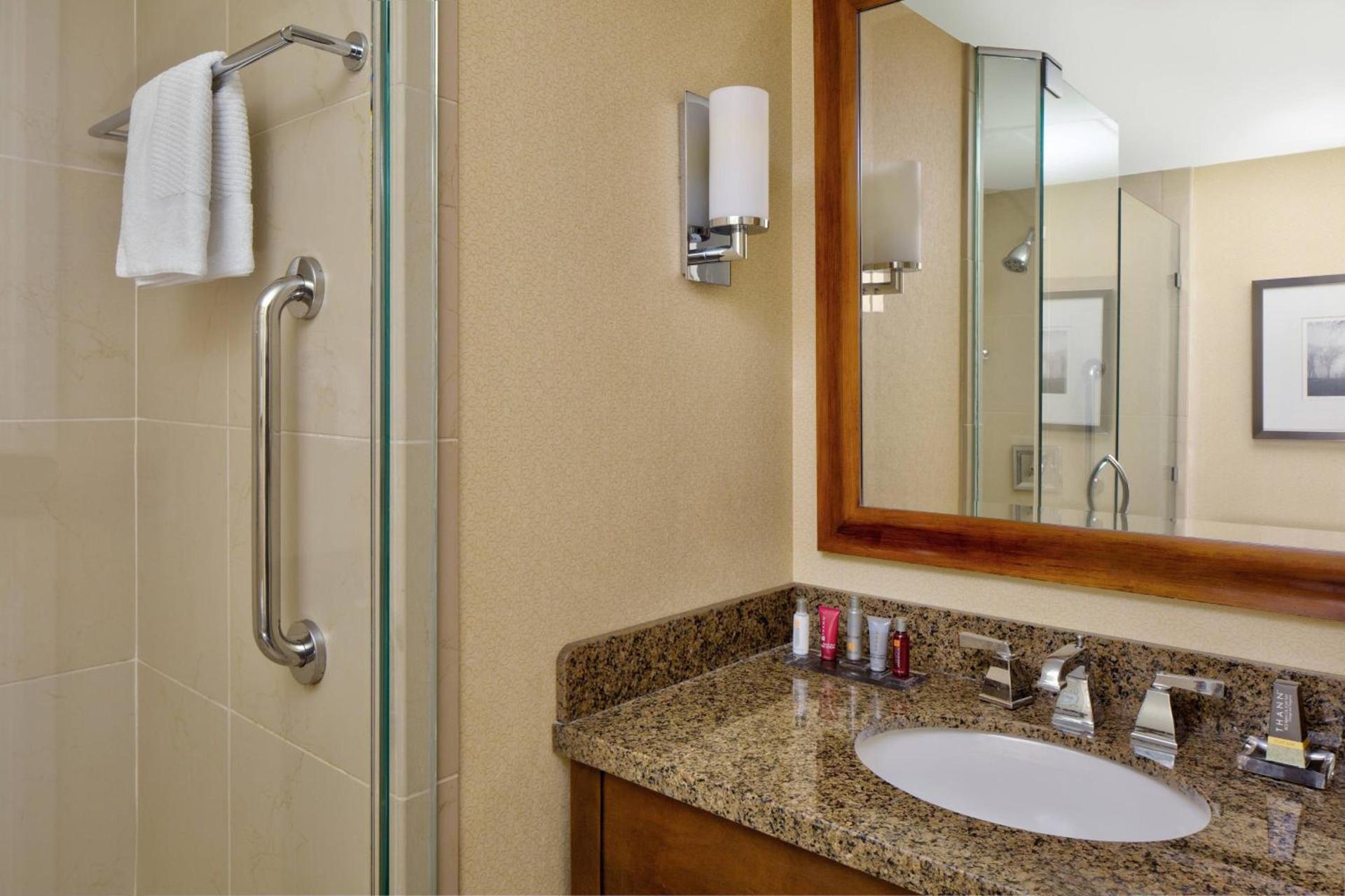 Wyndham Atlanta Buckhead Hotel & Conference Center photo 27