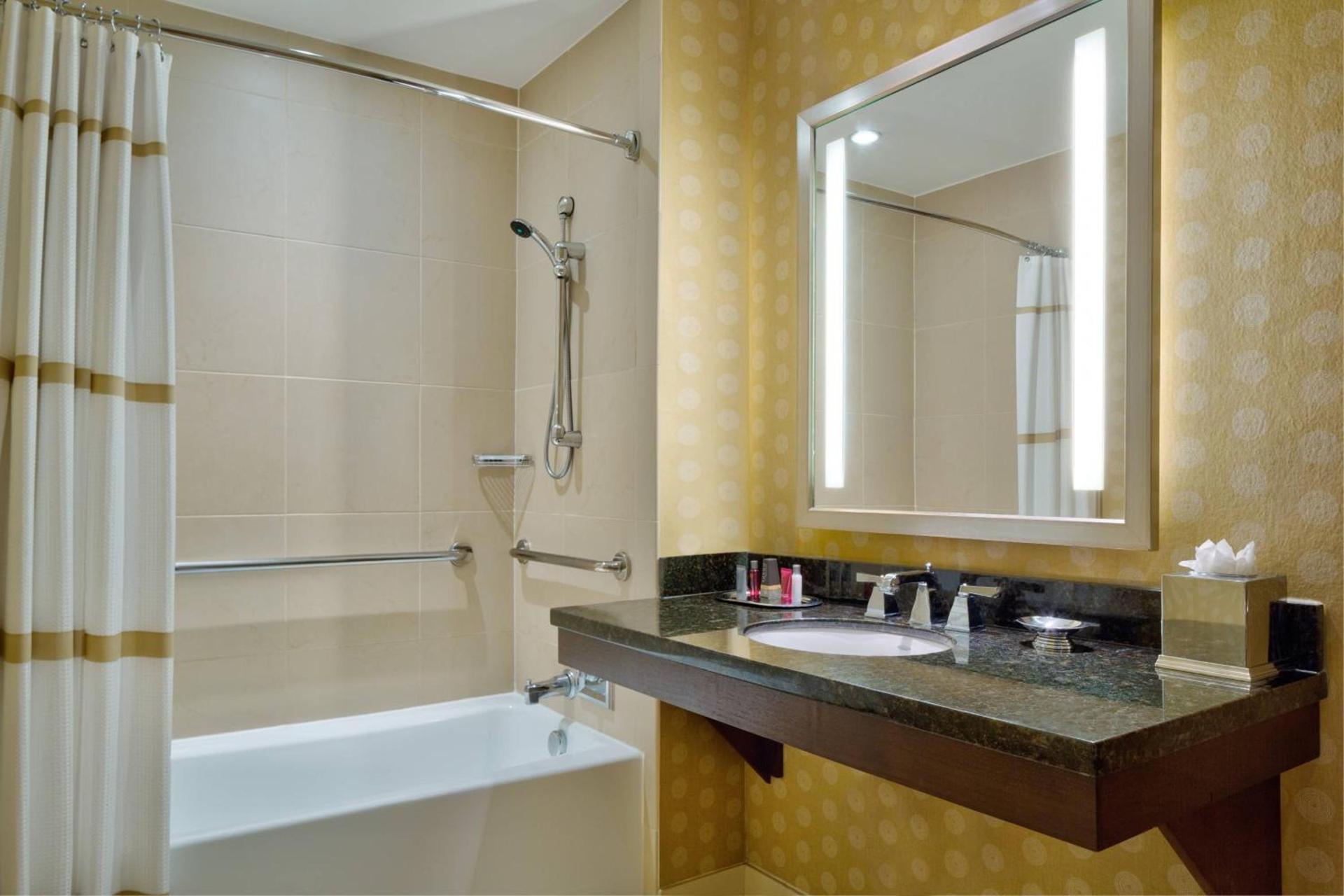 Wyndham Atlanta Buckhead Hotel & Conference Center photo 28