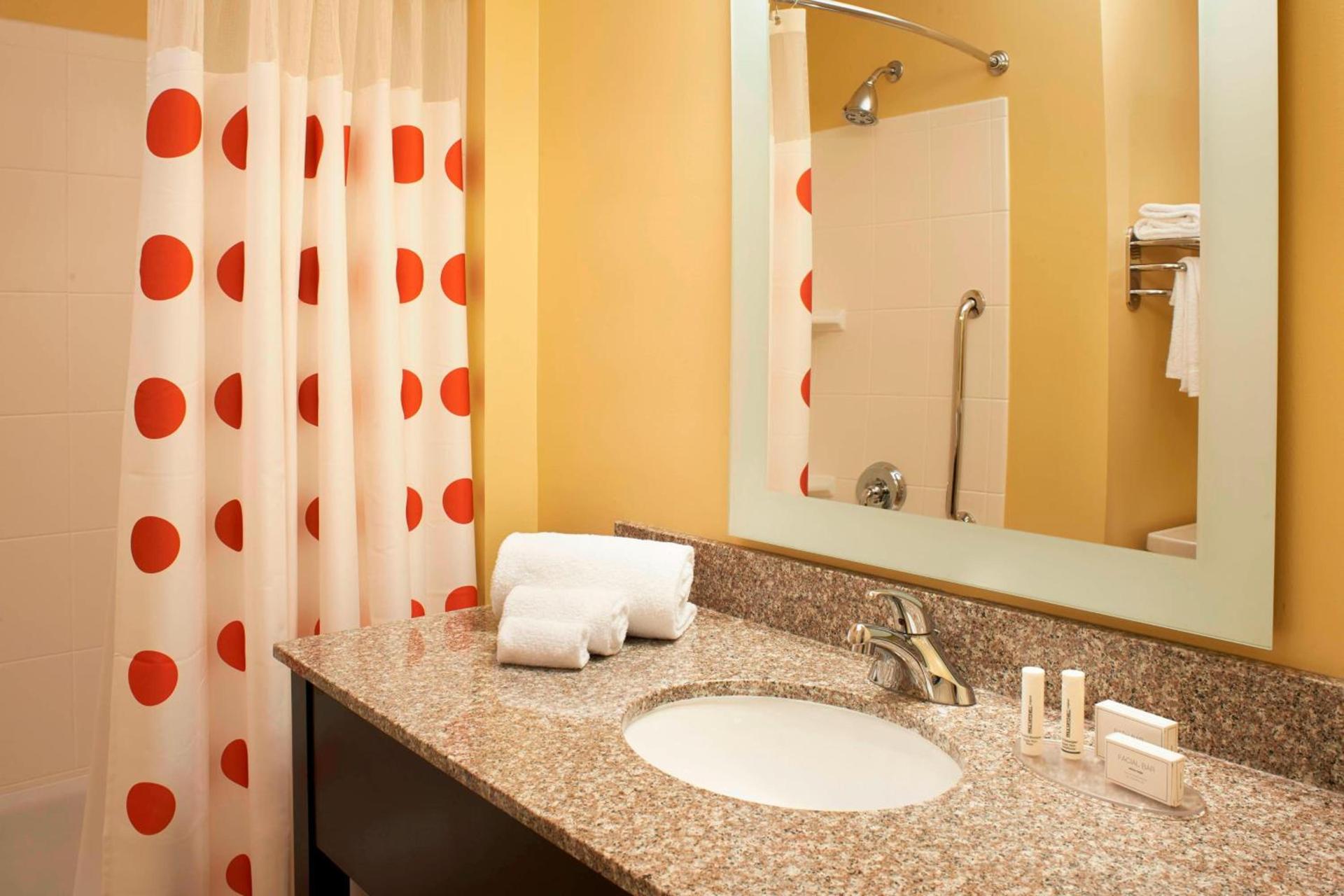 TownePlace Suites by Marriott Saginaw photo 10
