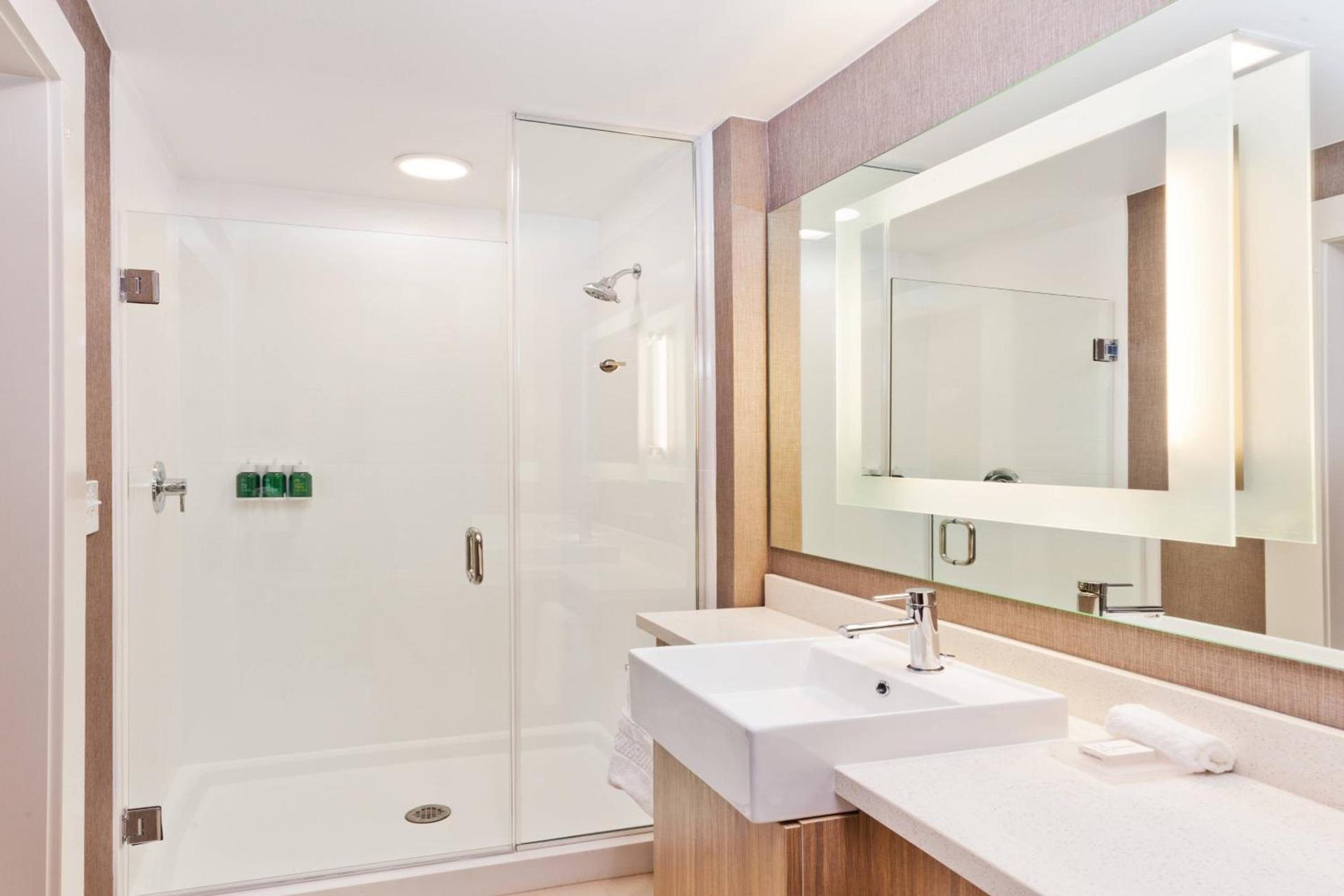 SpringHill Suites by Marriott Montgomery Prattville/Millbrook photo 10
