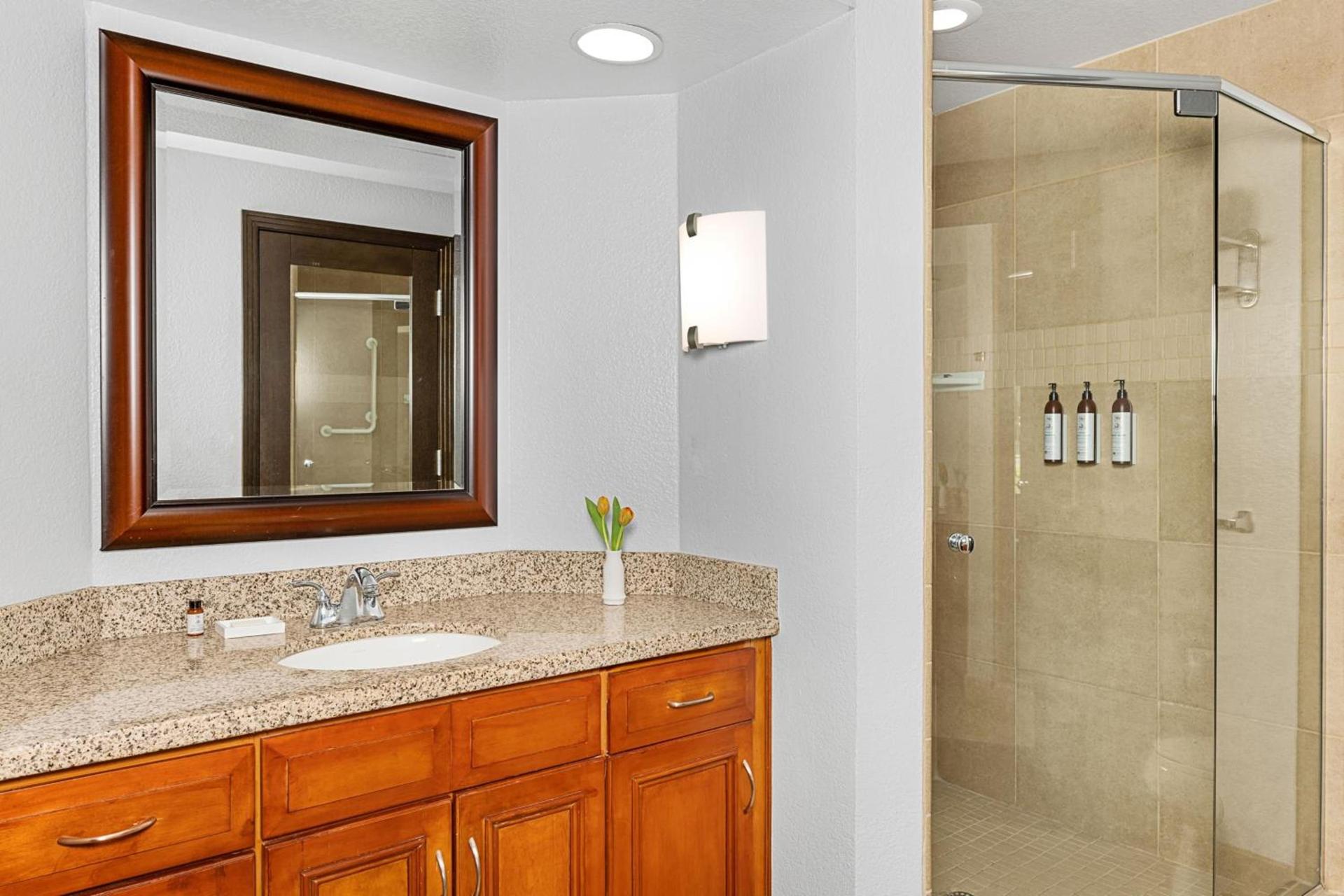 Marriott's Desert Springs Villas I photo 15