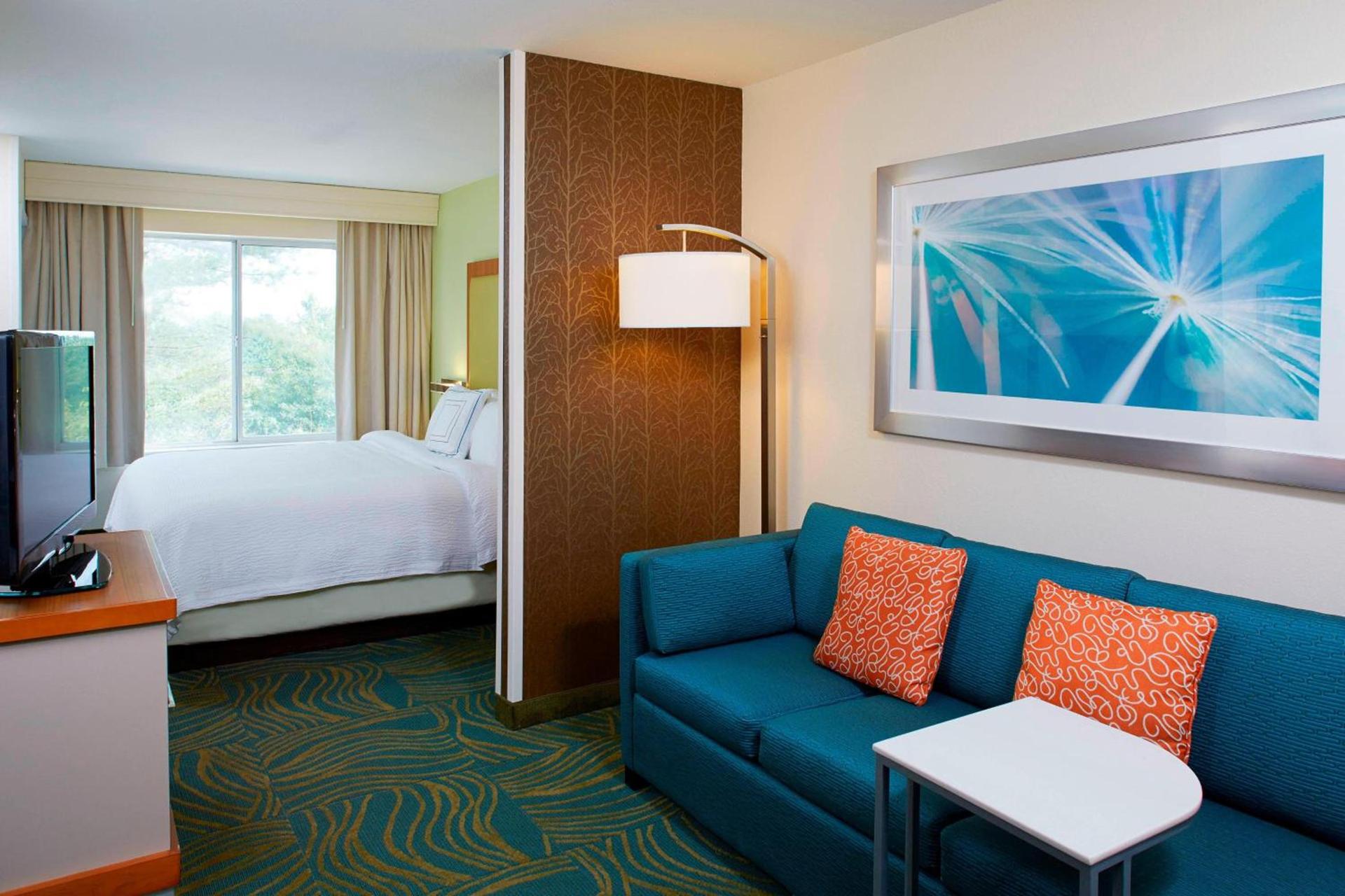 SpringHill Suites by Marriott Atlanta Six Flags photo 6