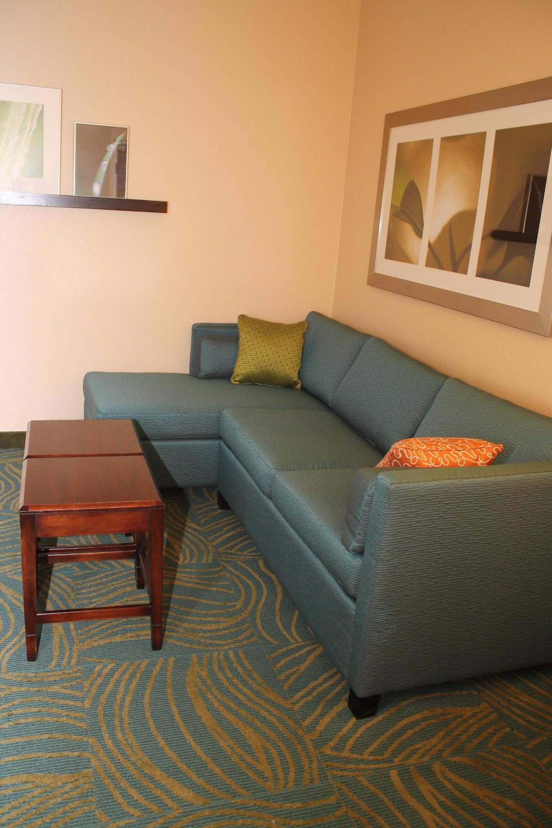 SpringHill Suites by Marriott Morgantown photo 8