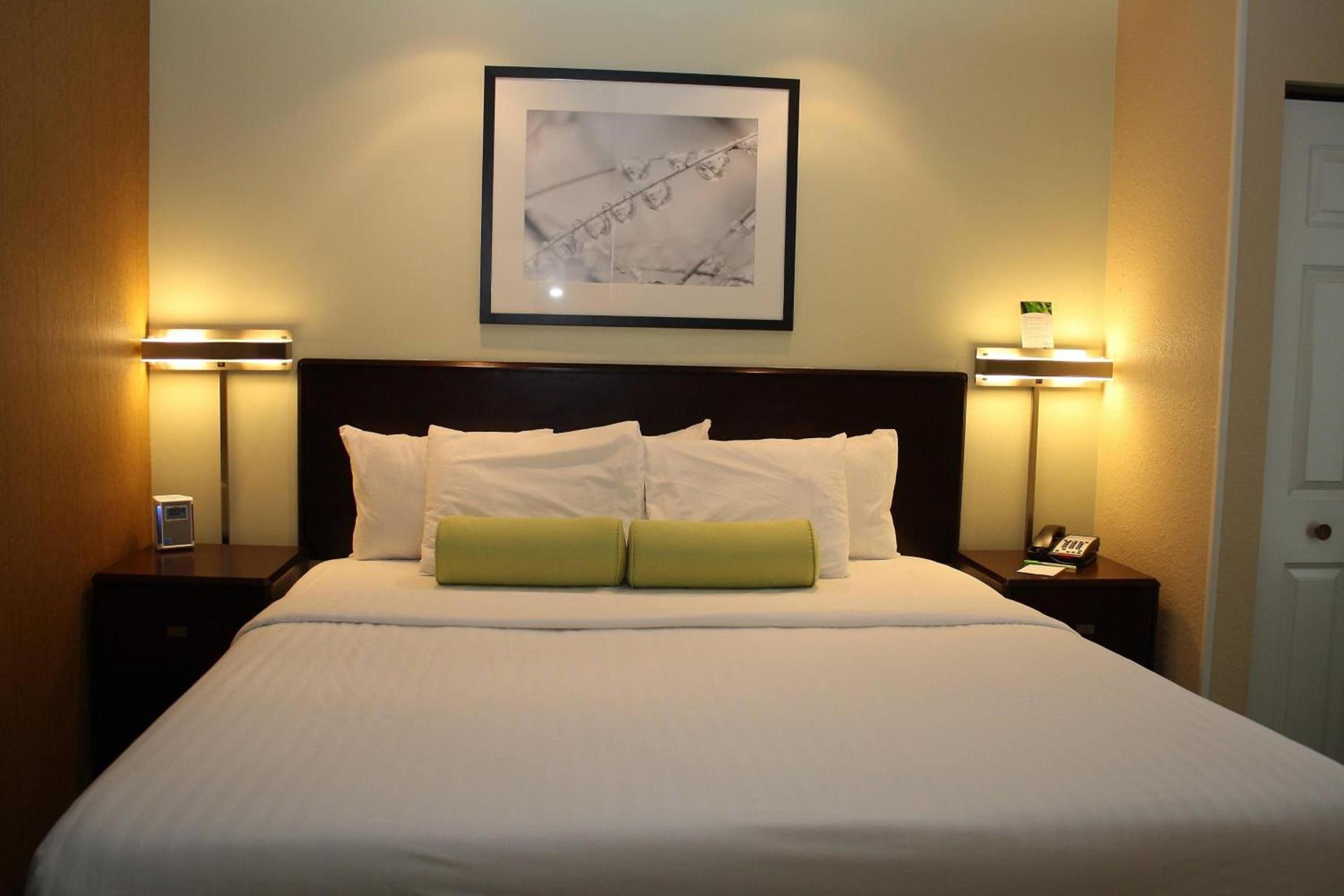 SpringHill Suites by Marriott Morgantown photo 5