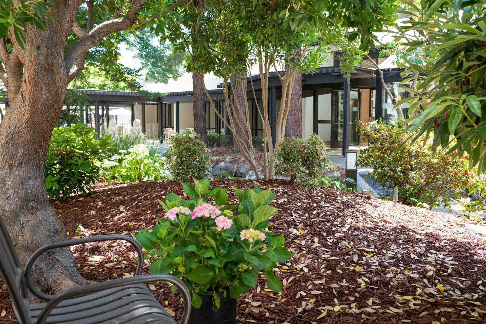 Sheraton Palo Alto Hotel photo 29
