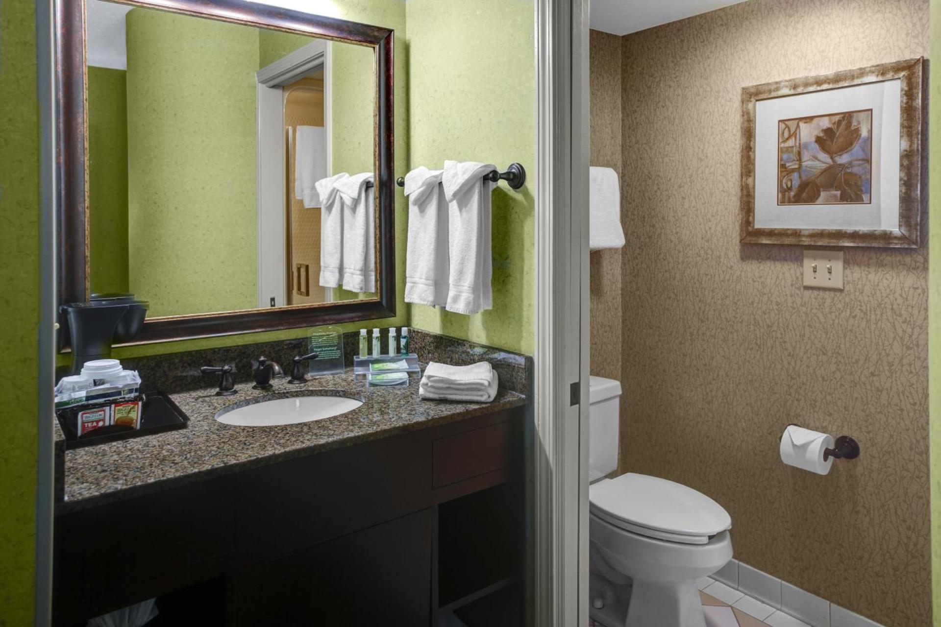Holiday Inn Express Hotel & Suites Atlanta Buckhead by IHG photo 7