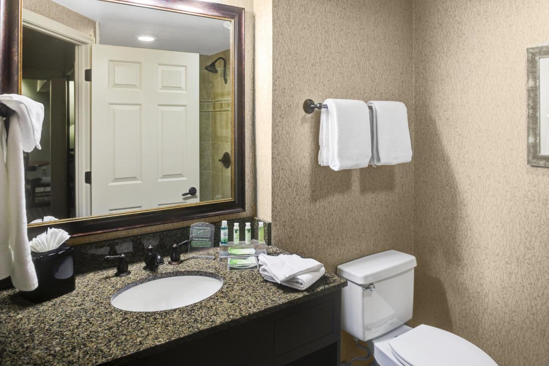 Holiday Inn Express Hotel & Suites Atlanta Buckhead by IHG photo 10
