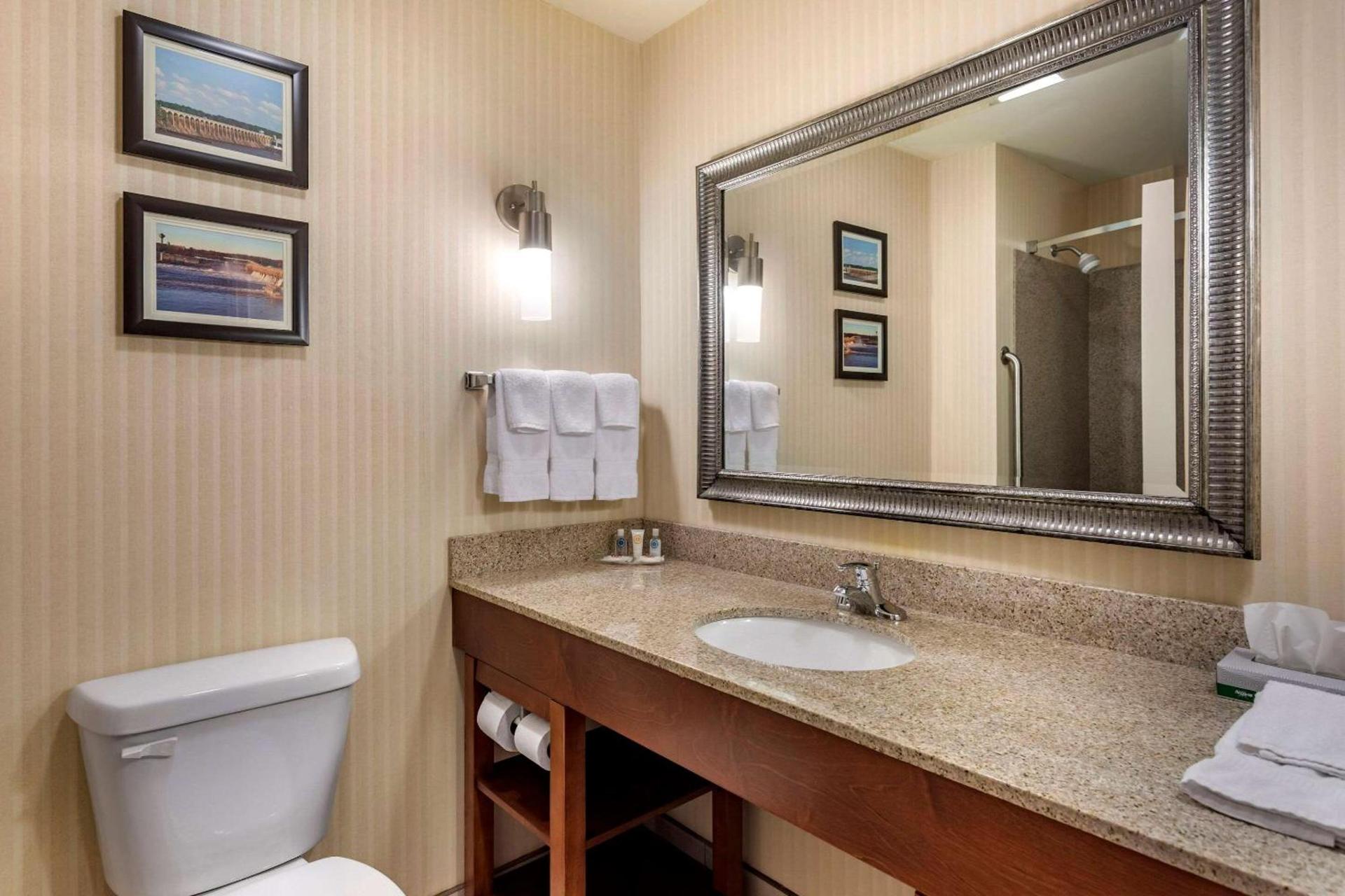 Comfort Suites Florence Shoals Area photo 16