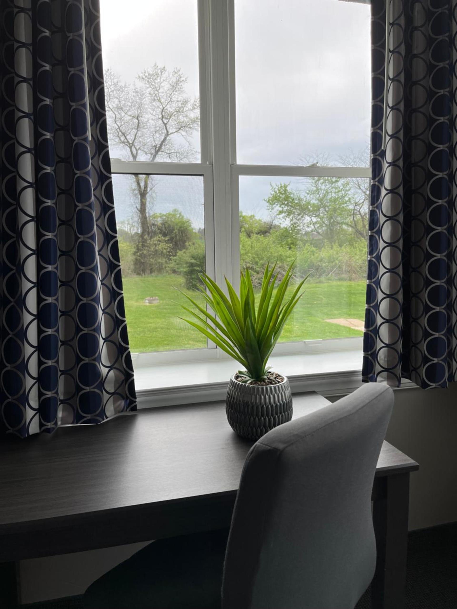 Brinton Suites photo 66
