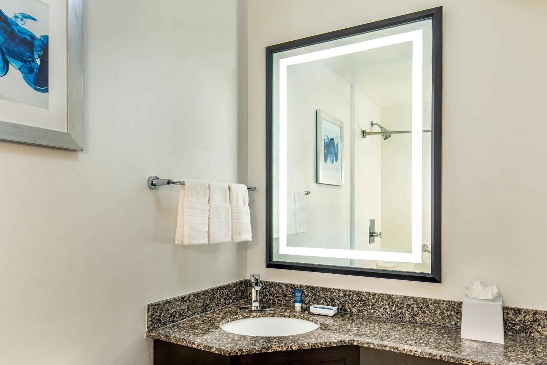 Four Points by Sheraton Kalamazoo photo 12