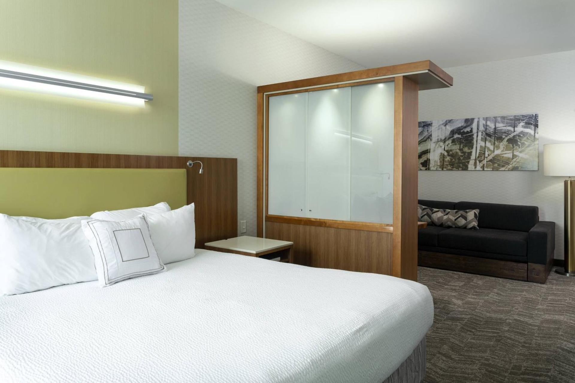 SpringHill Suites by Marriott Philadelphia Airport / Ridley Park photo 10