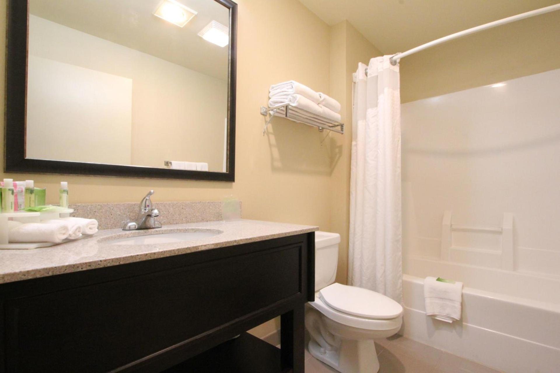 Holiday Inn Express & Suites Chicago-Libertyville by IHG photo 4