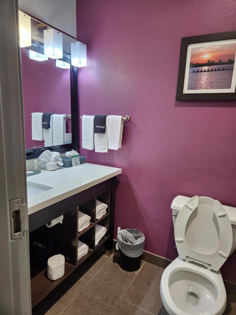 La Quinta by Wyndham Dallas Grand Prairie North photo 47