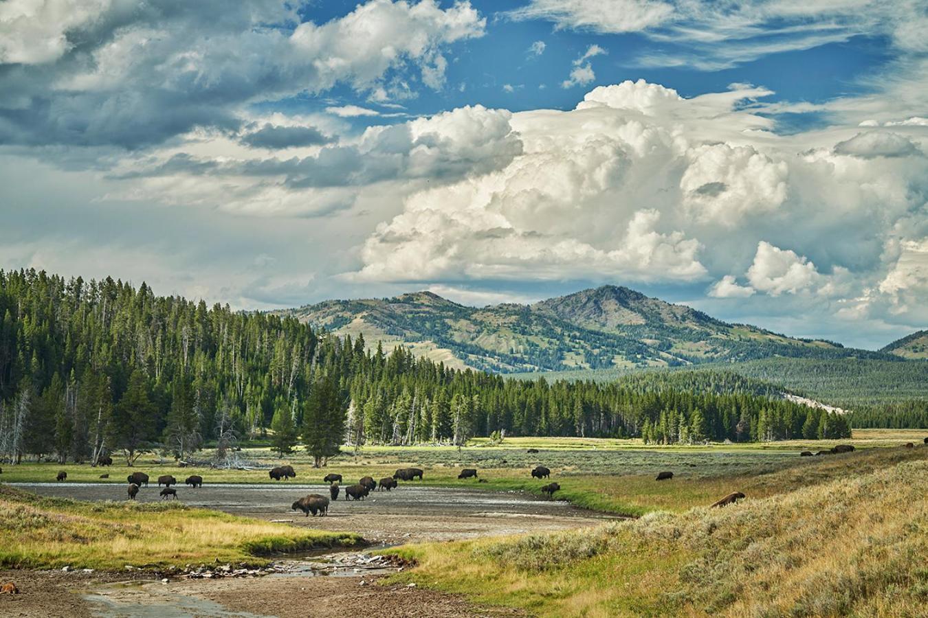 Montage Big Sky photo 92