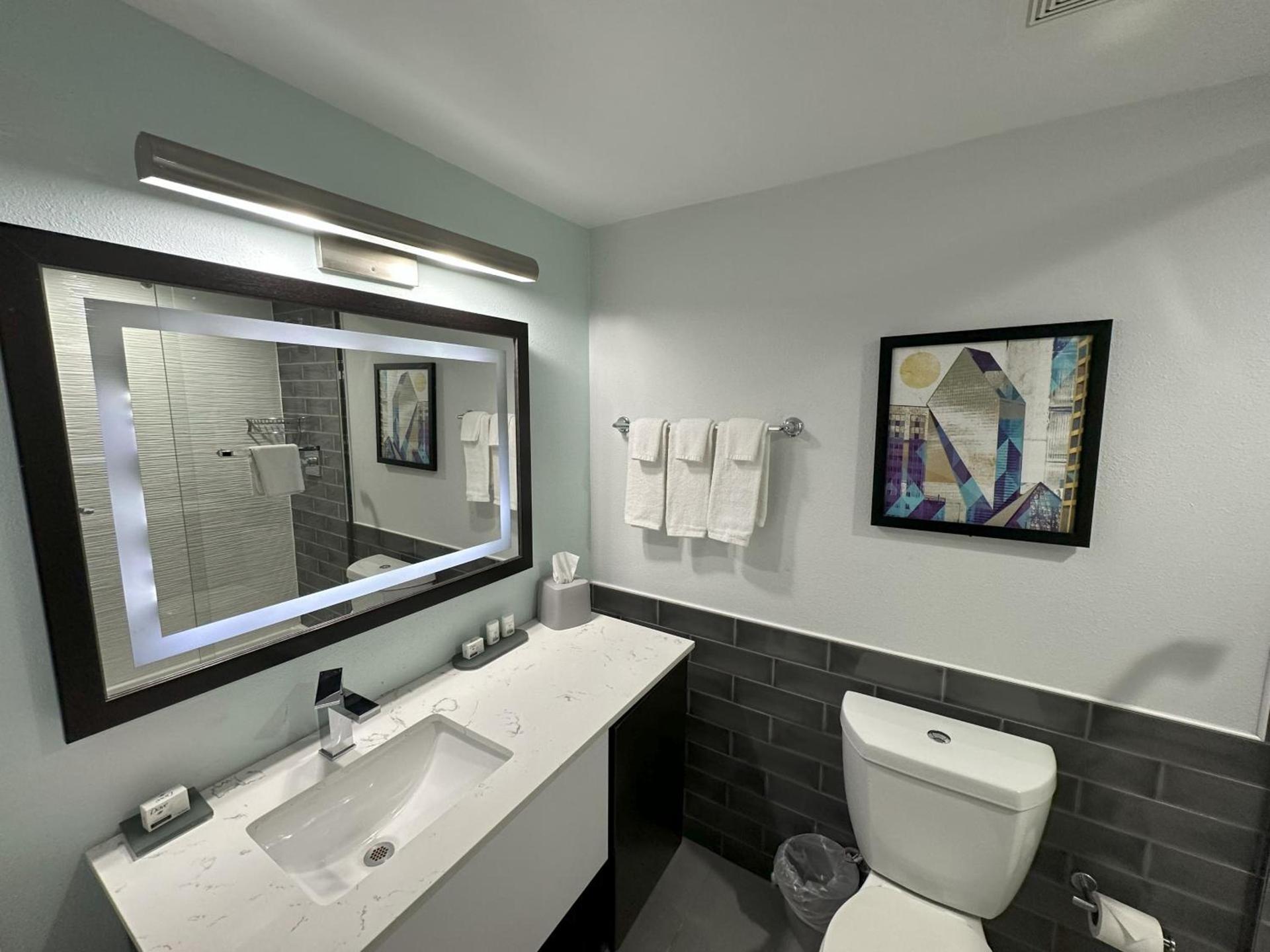 Holiday Inn Express - Dallas Downtown by IHG photo 39