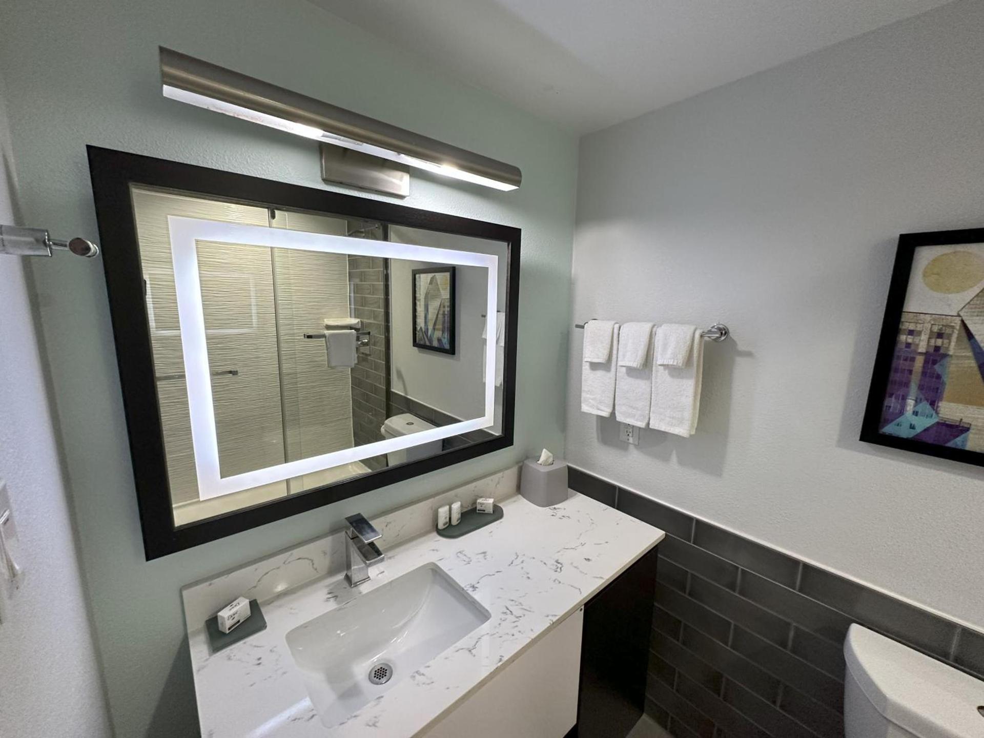 Holiday Inn Express - Dallas Downtown by IHG photo 37
