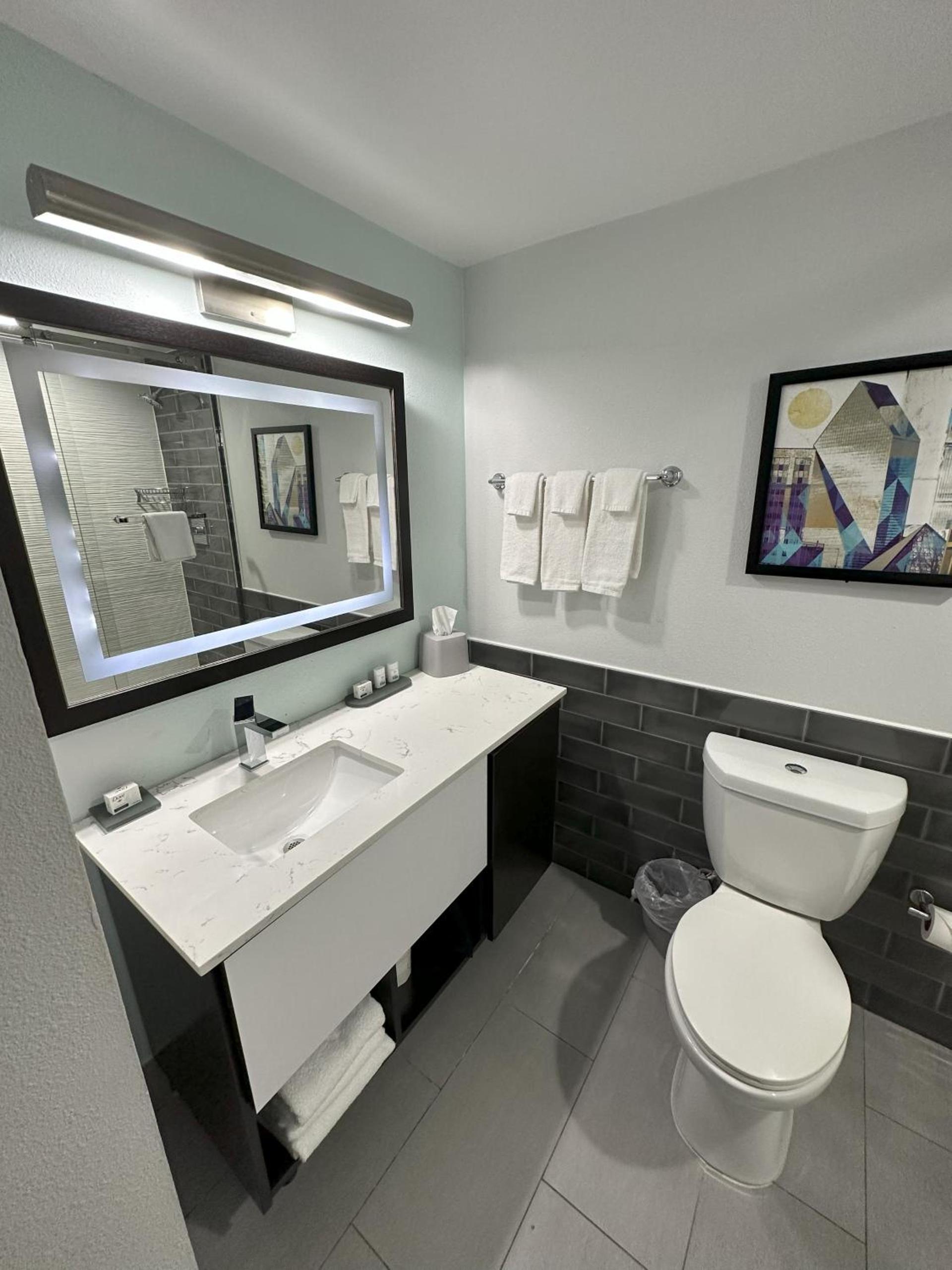 Holiday Inn Express - Dallas Downtown by IHG photo 52