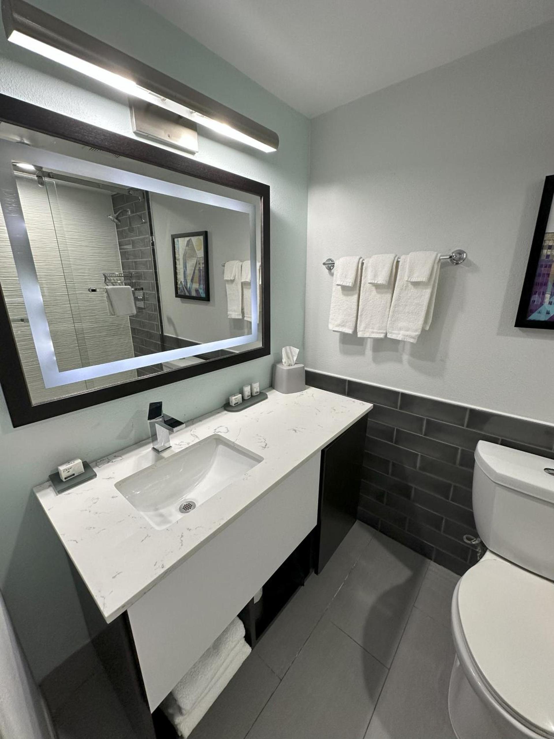 Holiday Inn Express - Dallas Downtown by IHG photo 54