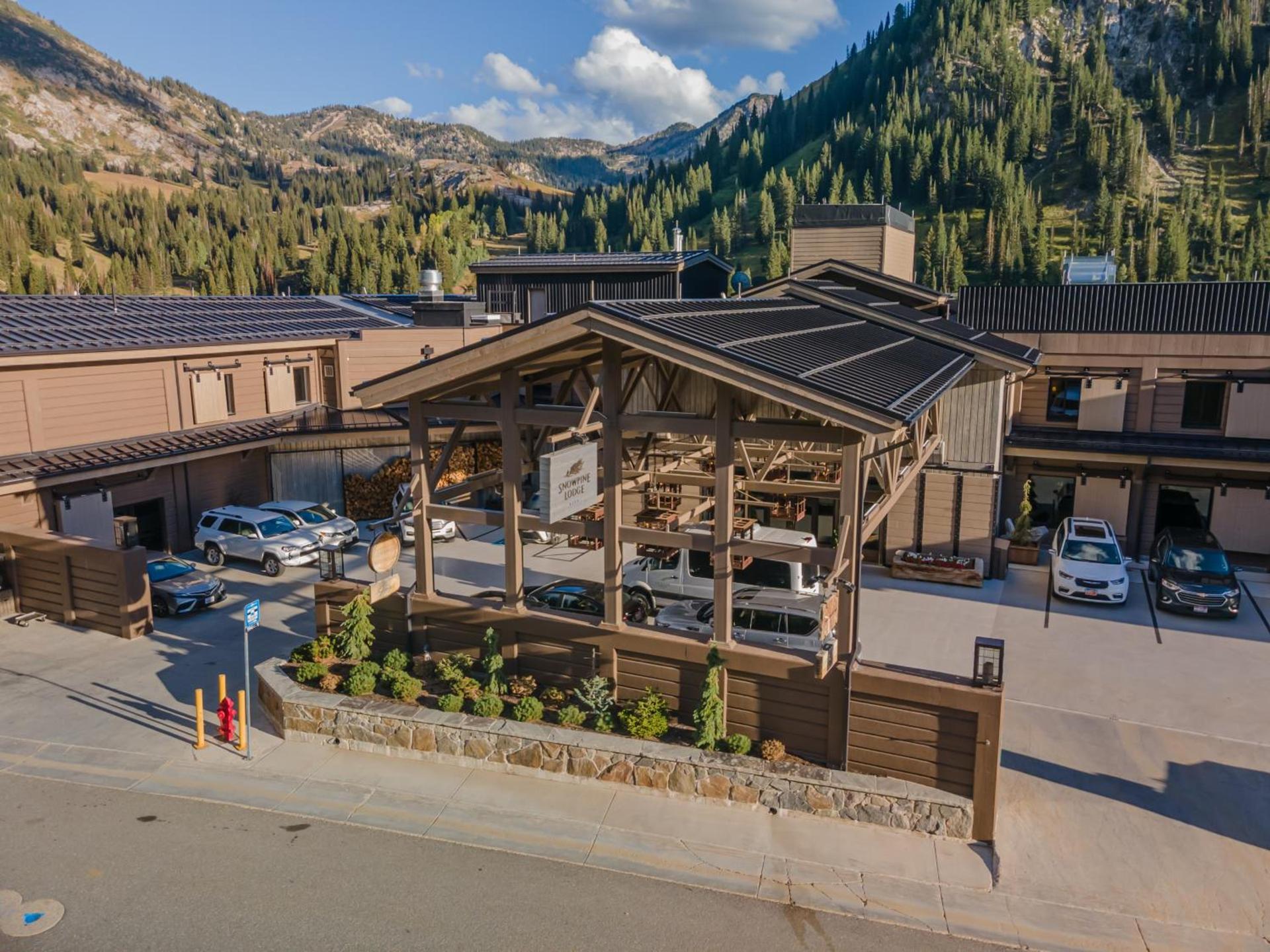 The Snowpine Lodge photo 15