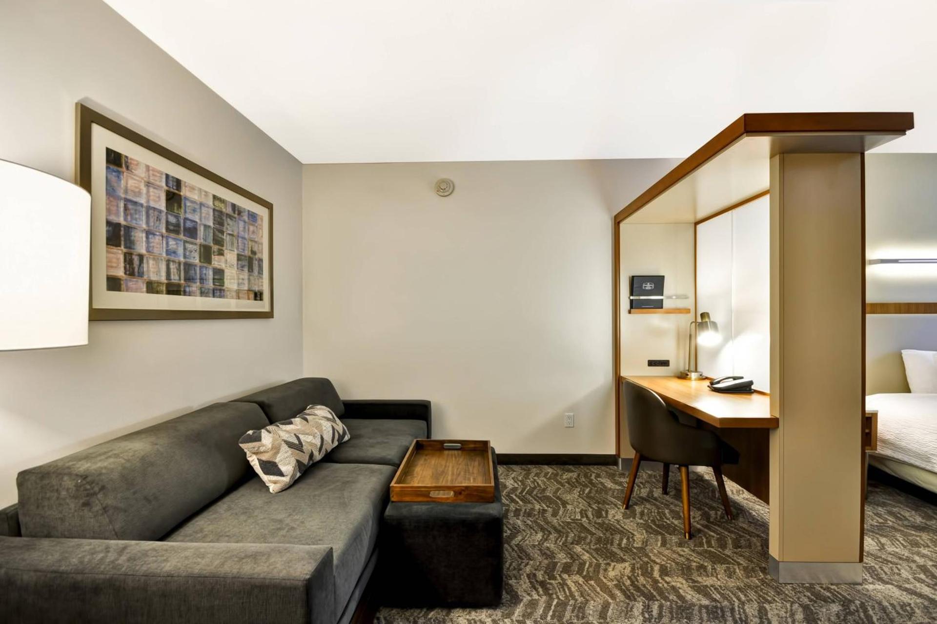 SpringHill Suites Tallahassee Central photo 12