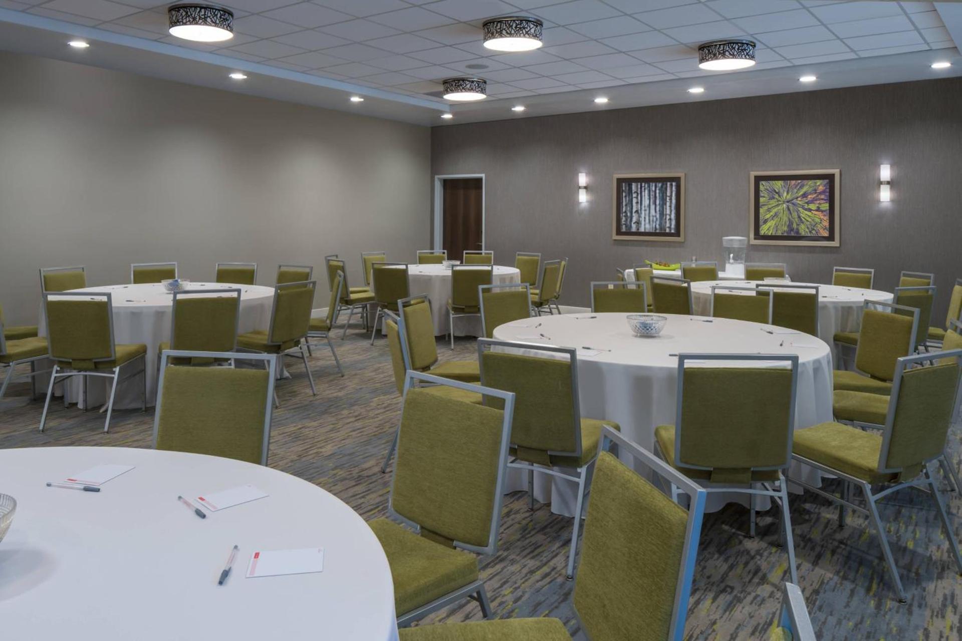 TownePlace Suites by Marriott Chicago Schaumburg photo 45