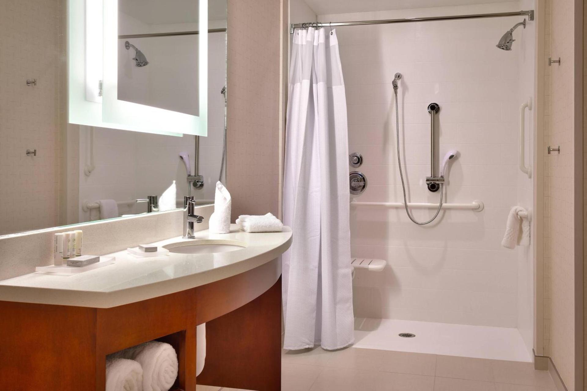 SpringHill Suites by Marriott Houston I-45 North photo 7
