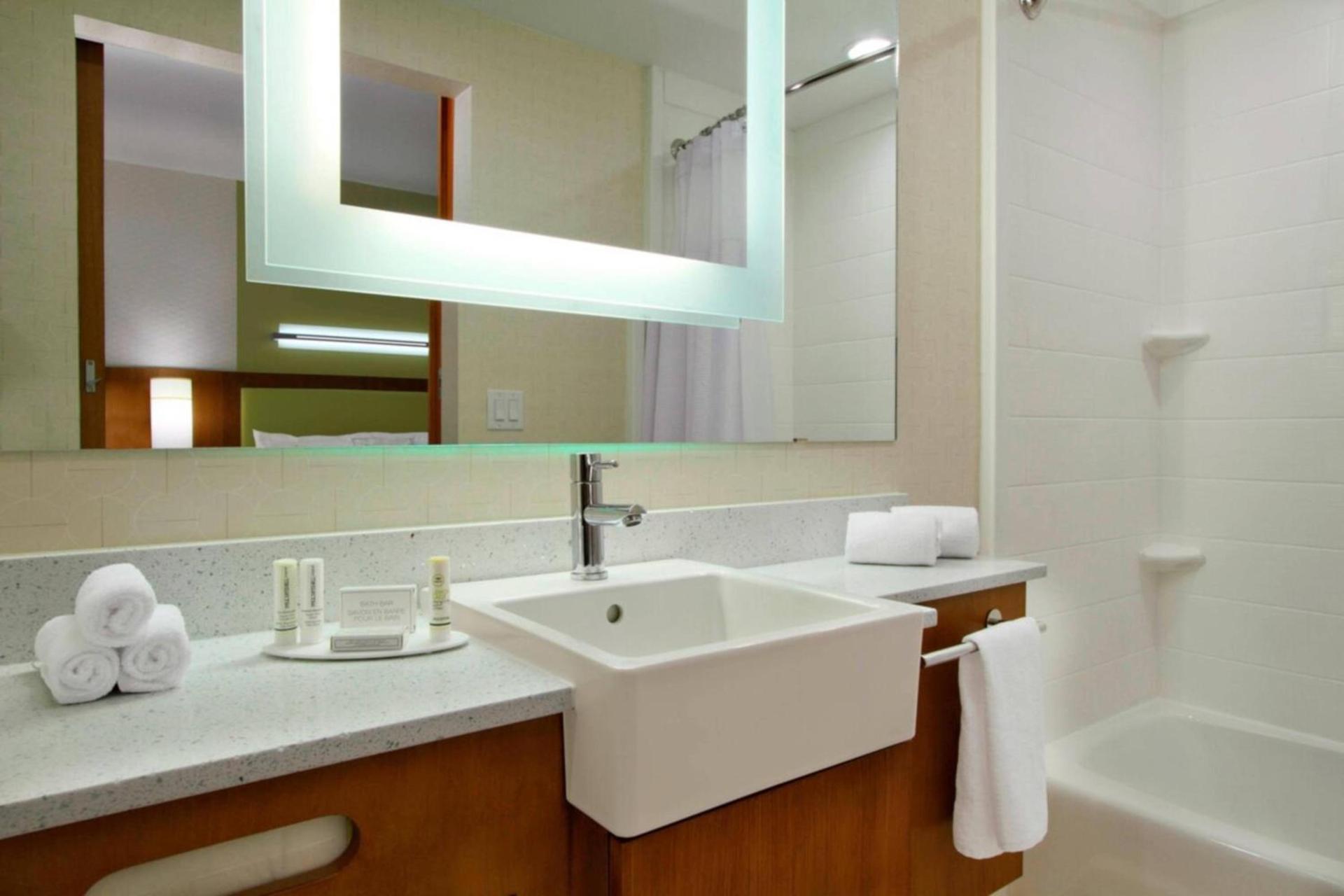 SpringHill Suites by Marriott Houston I-45 North photo 8