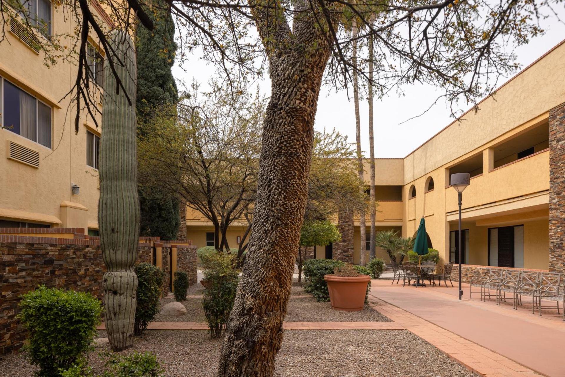 Spark by Hilton Tucson Reid Park photo 49