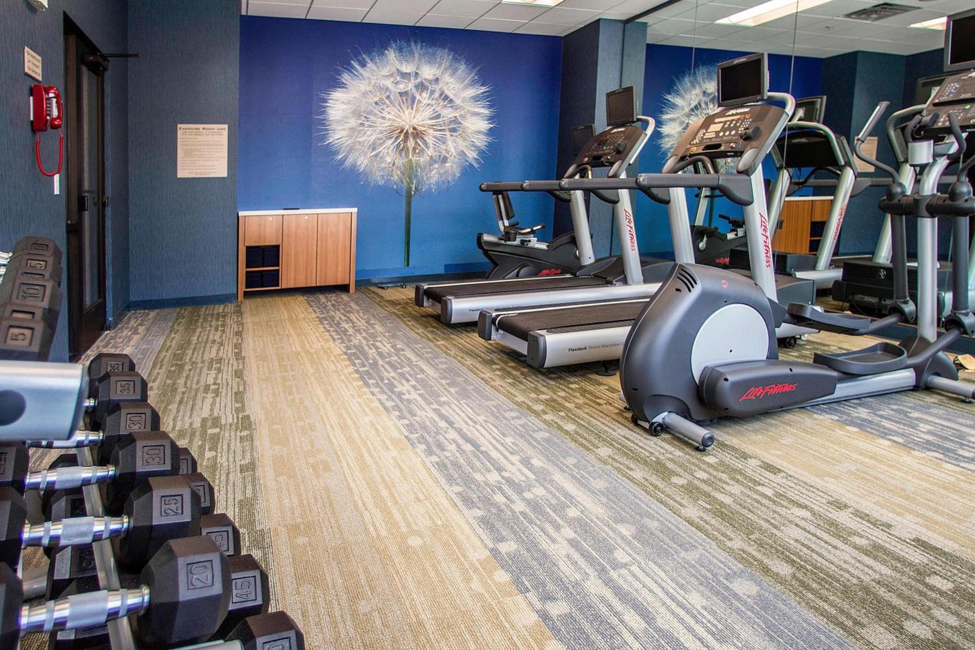 SpringHill Suites by Marriott Deadwood photo 29