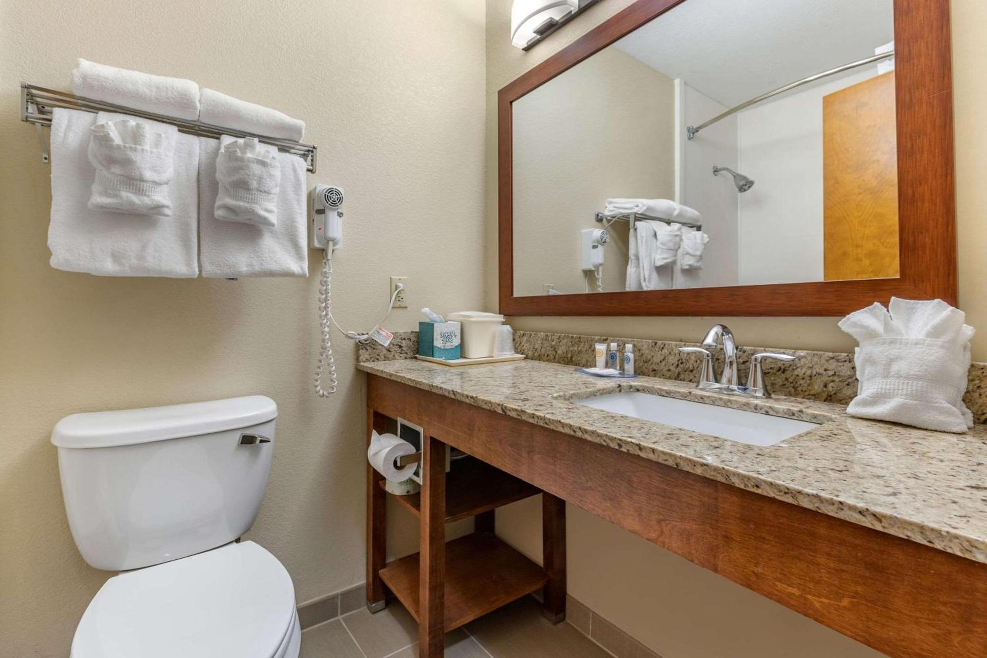 Comfort Inn & Suites Clemson - University Area photo 20
