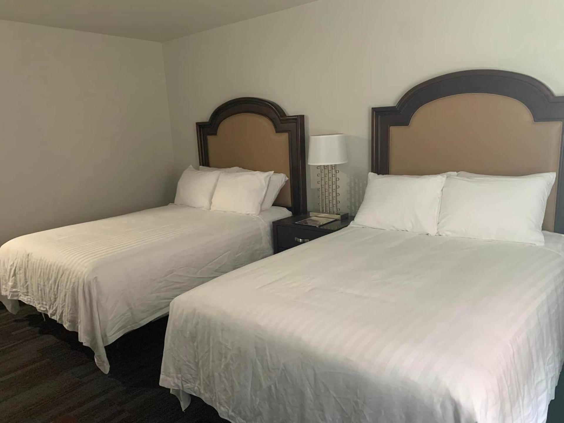 Elker Inn & Suites photo 10