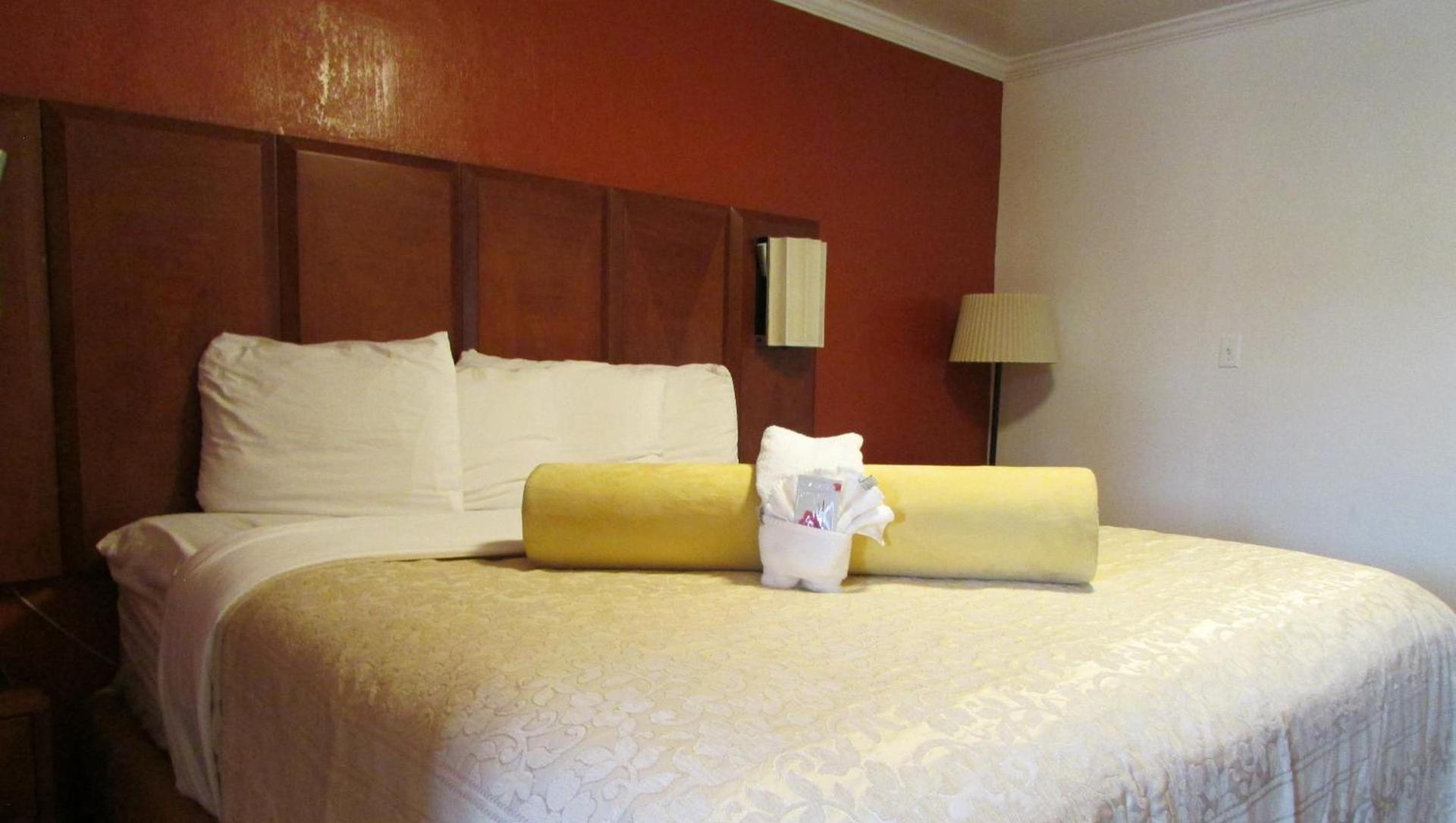 Mountain Star Inn photo 51