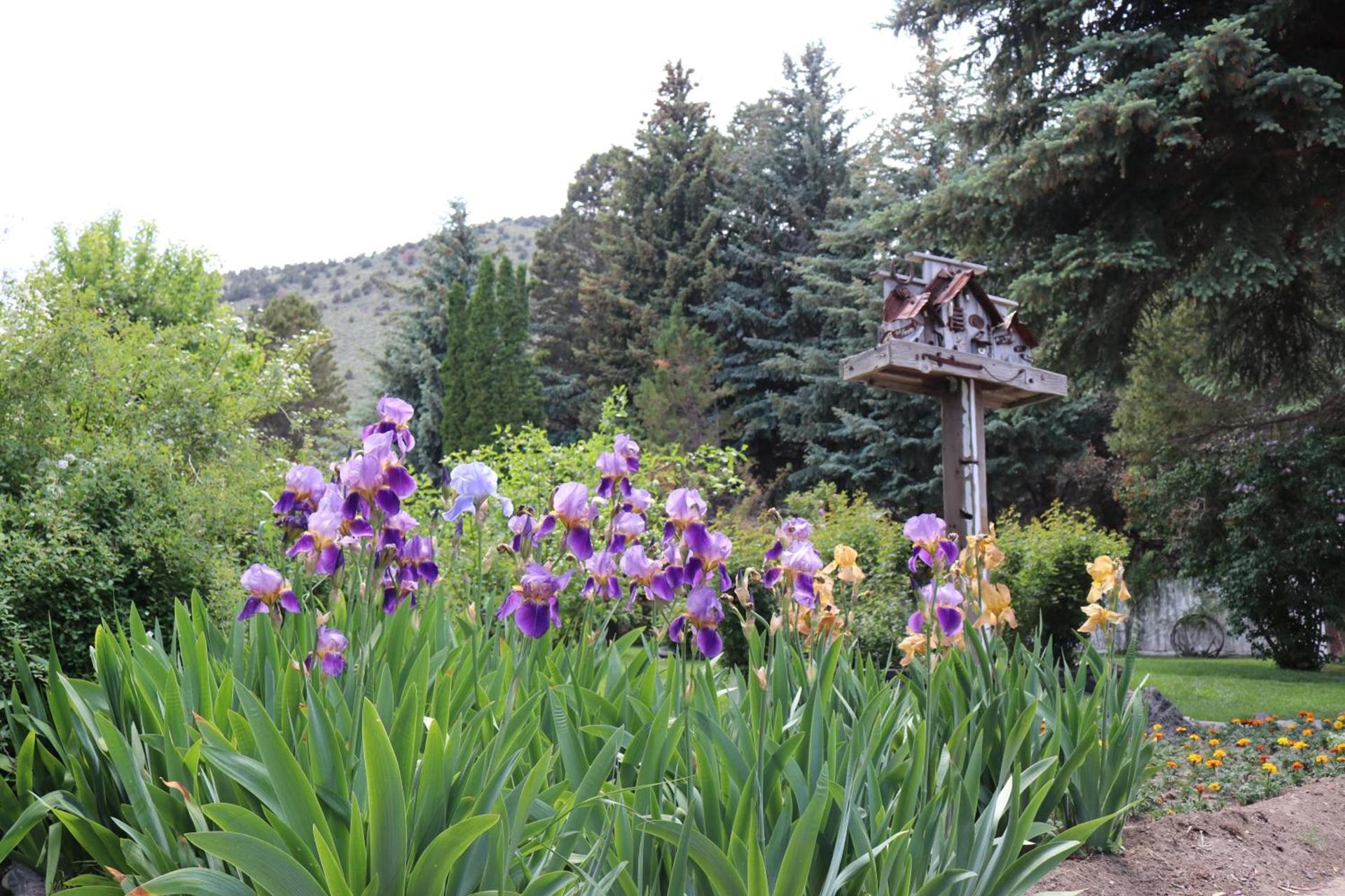 Lake View Lodge photo 5