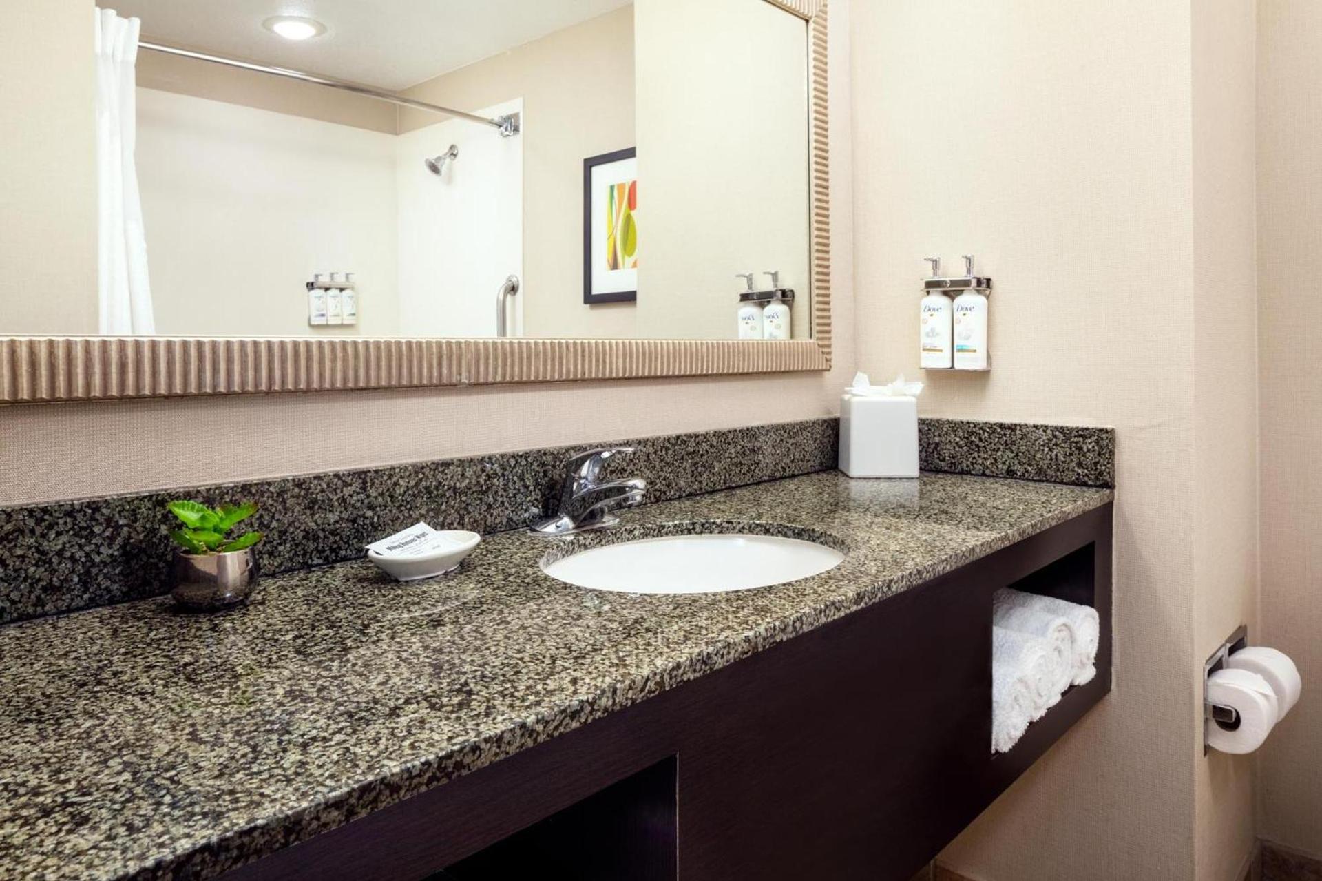 Holiday Inn Phoenix/Chandler by IHG photo 33