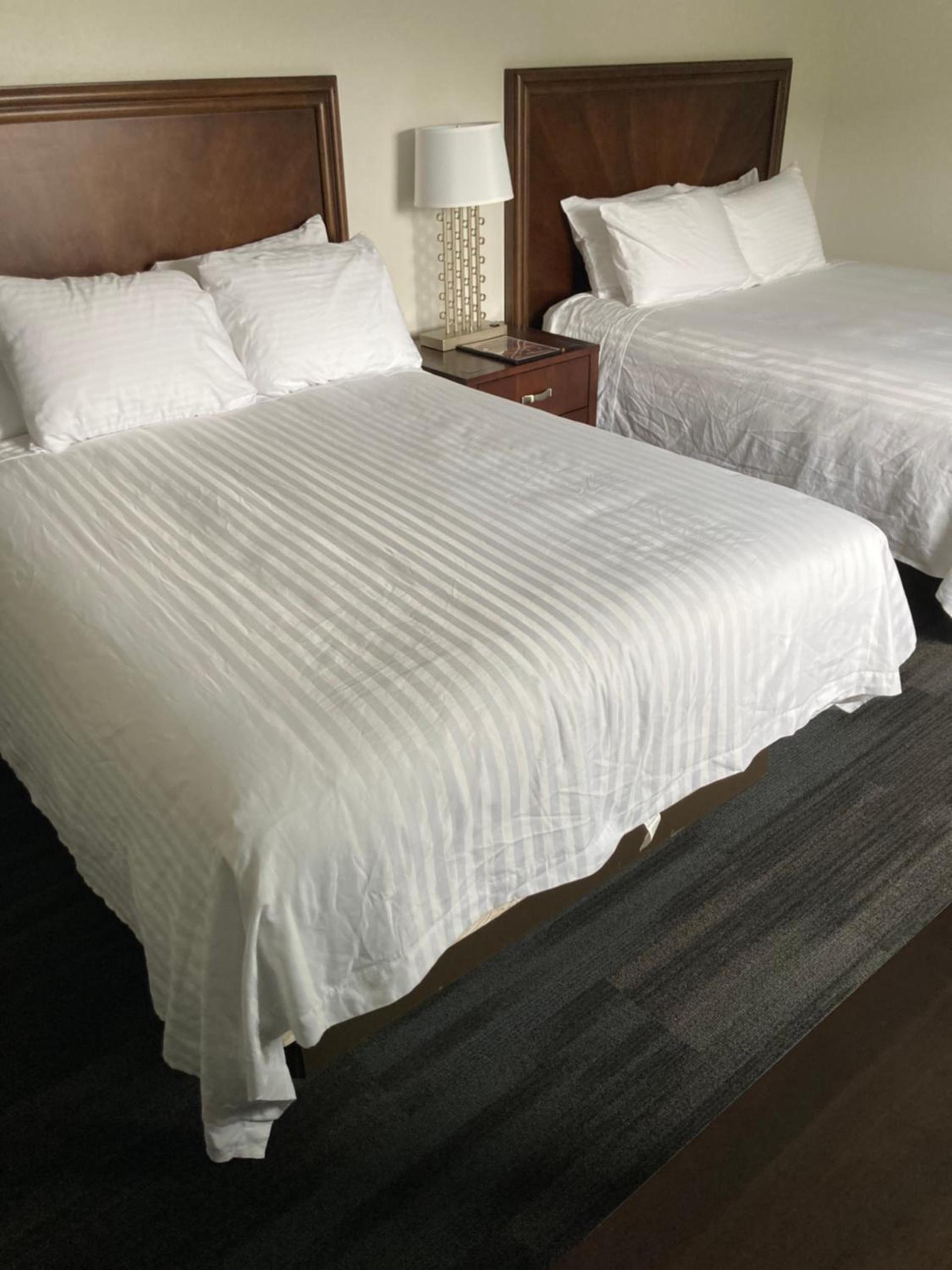 Elker Inn & Suites photo 25