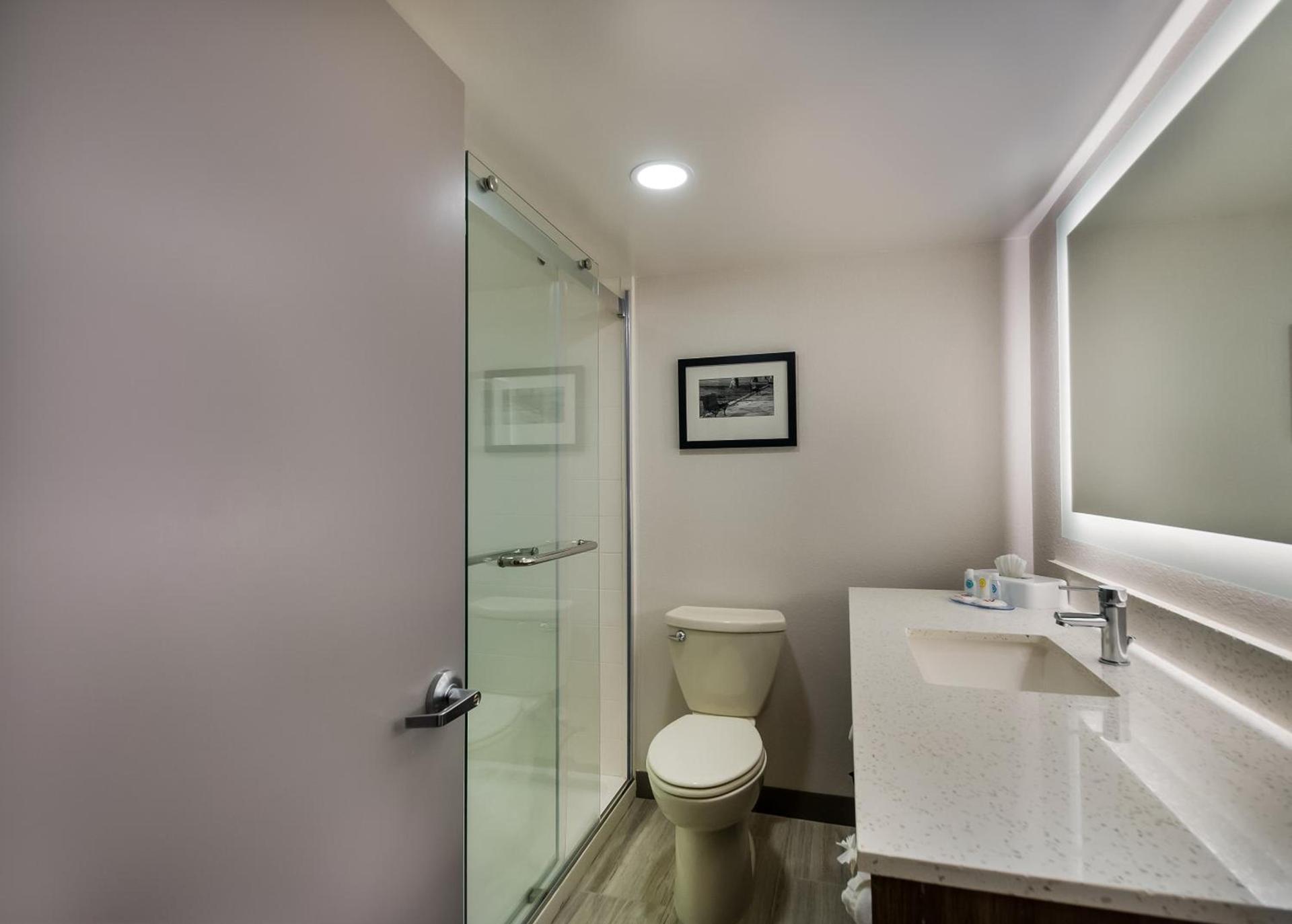 Comfort Inn Falls Church - Tysons Corner photo 12