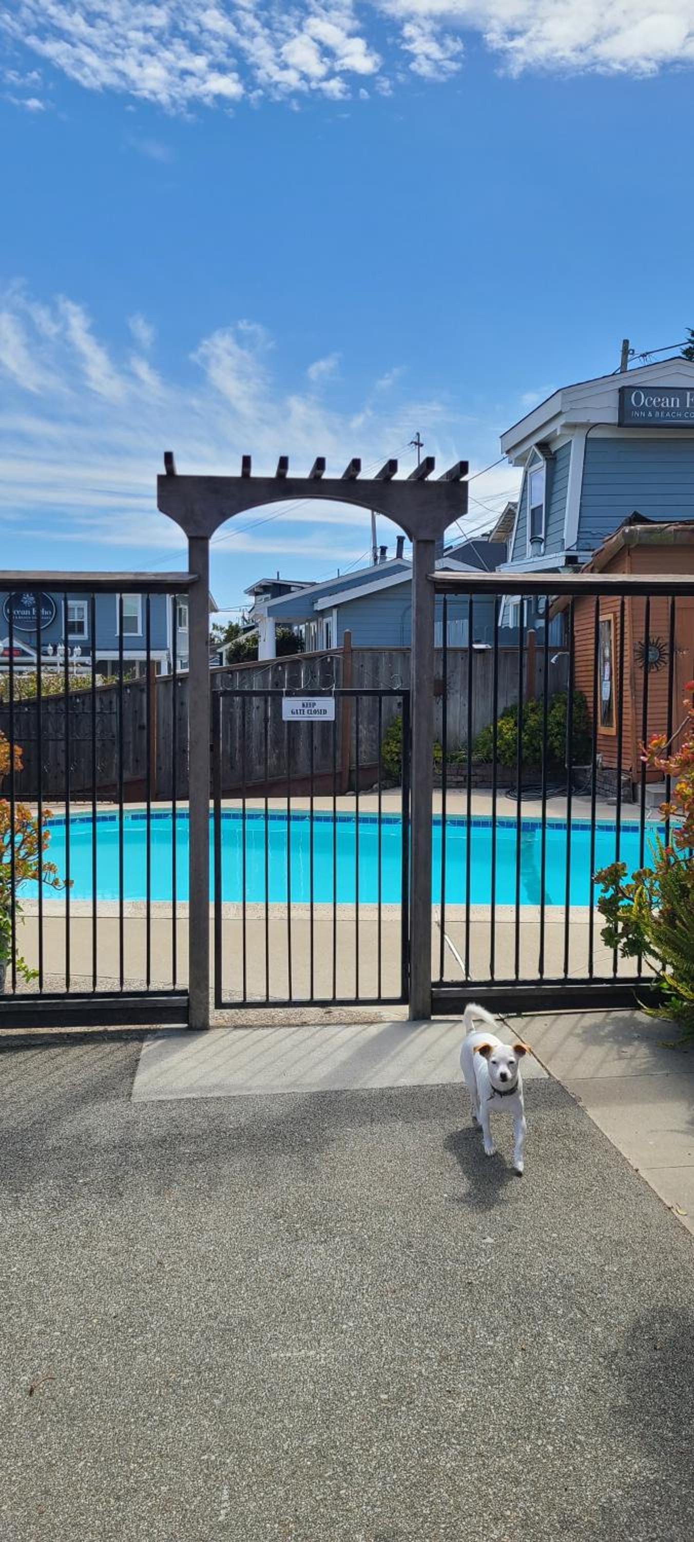 Sunny Cove Motel photo 14