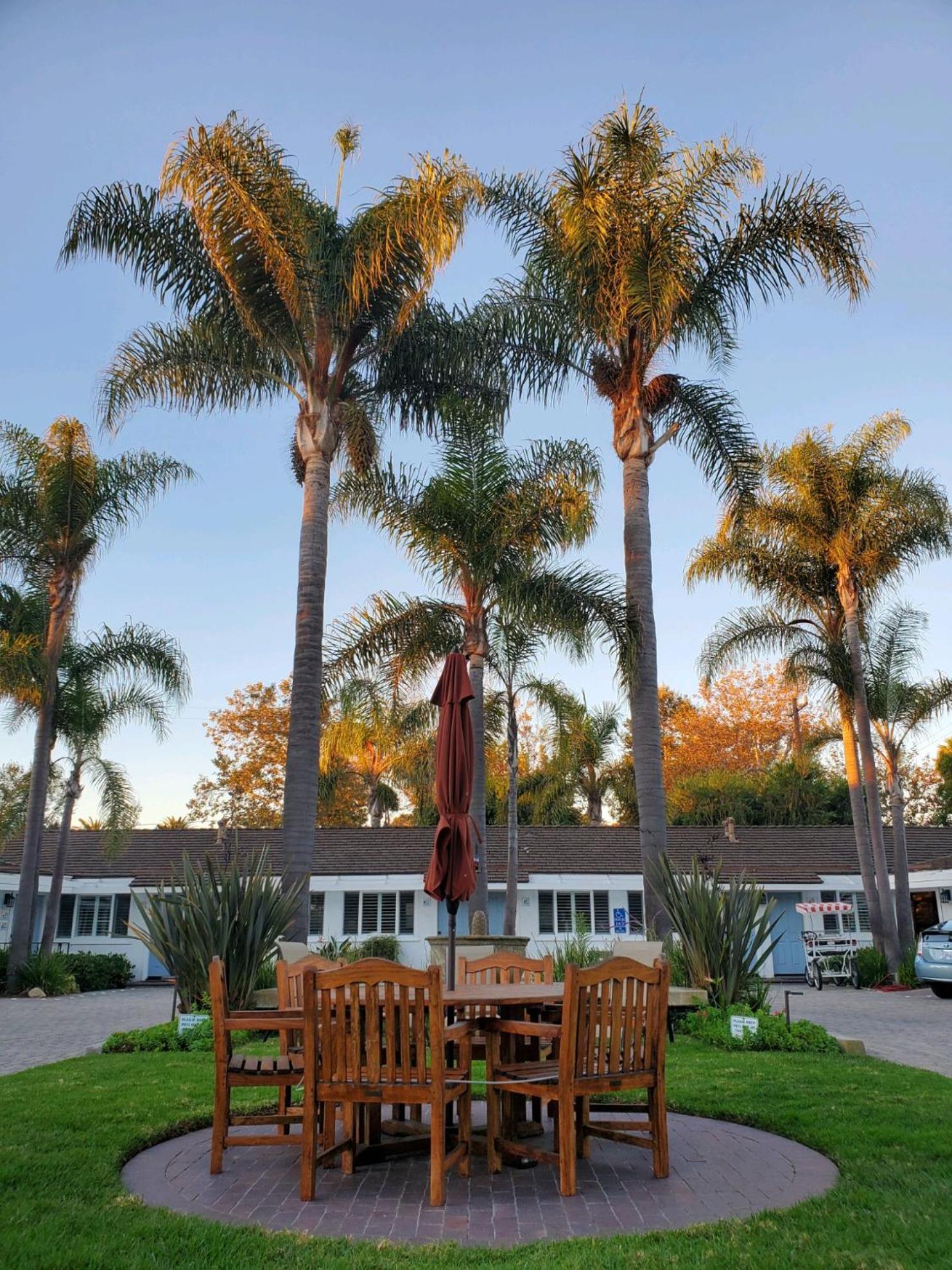 Marina Beach Hotel photo 95