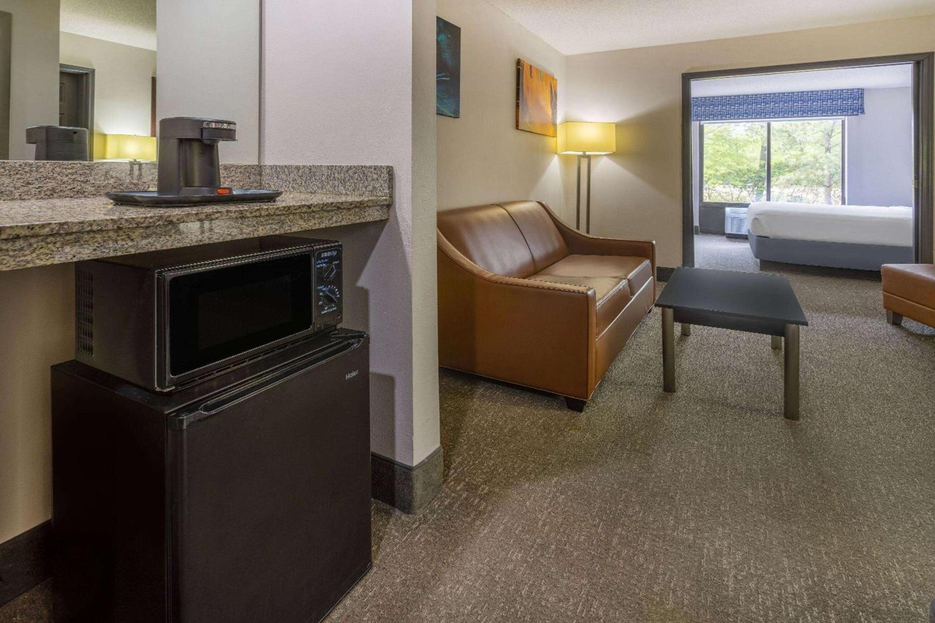 Wingate by Wyndham Atlanta Galleria/ Ballpark photo 17
