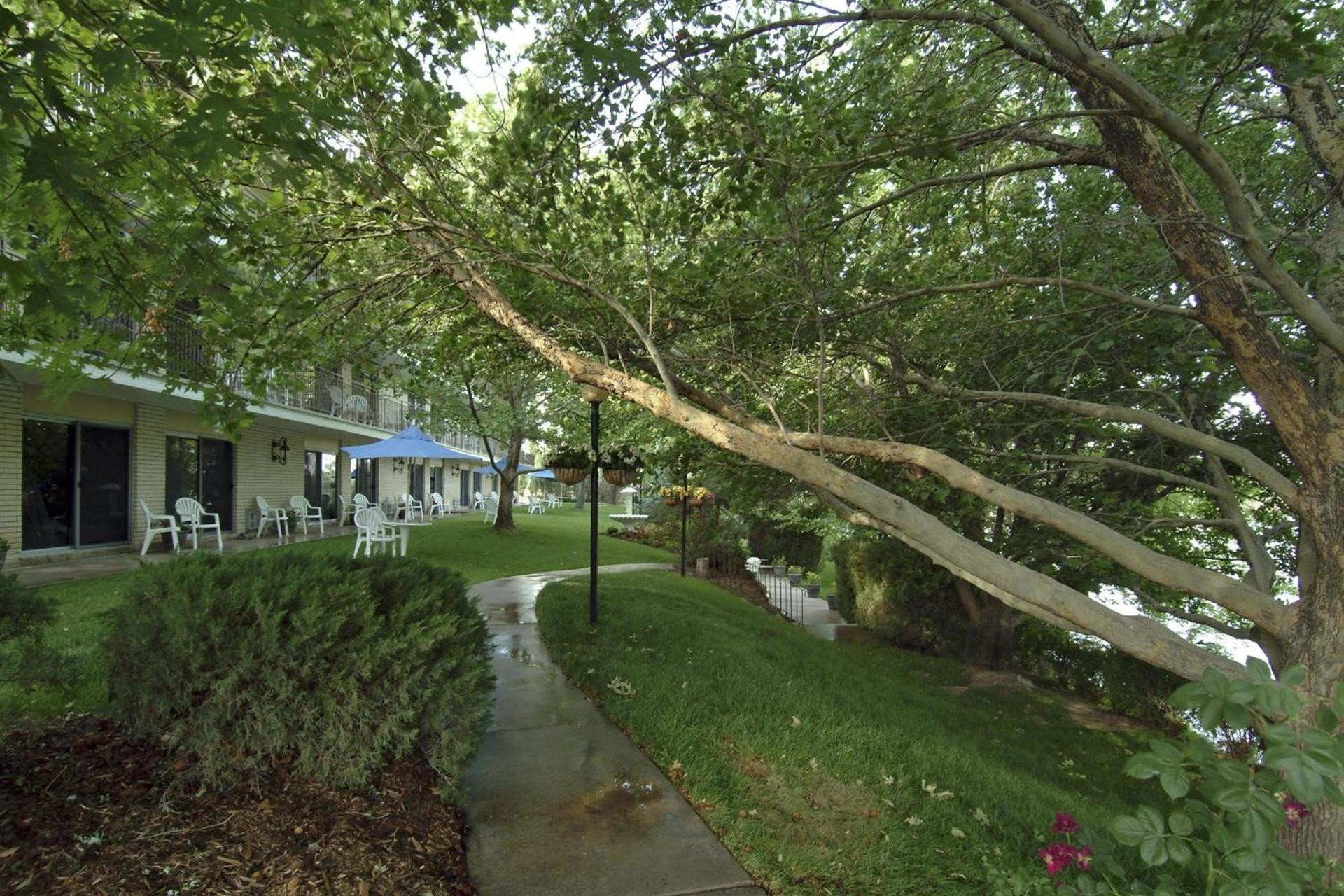 River Terrace Inn photo 9