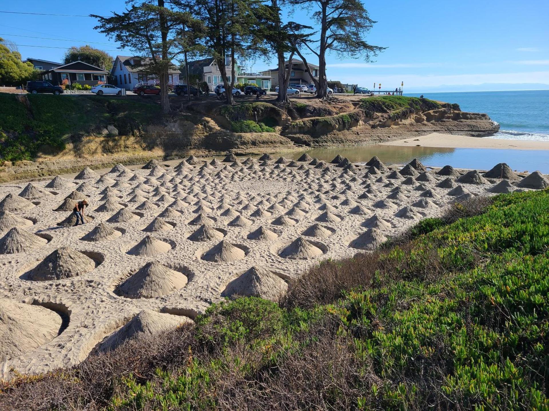 Sunny Cove Motel photo 17