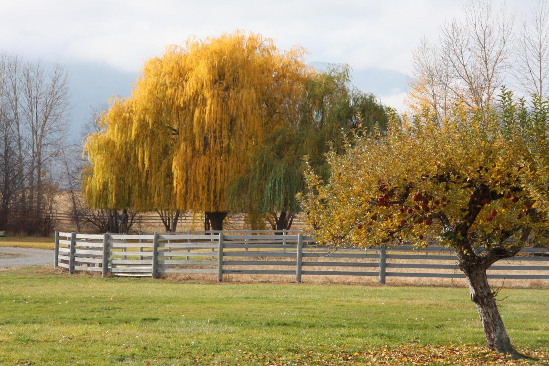 Casia Lodge and Ranch photo 64
