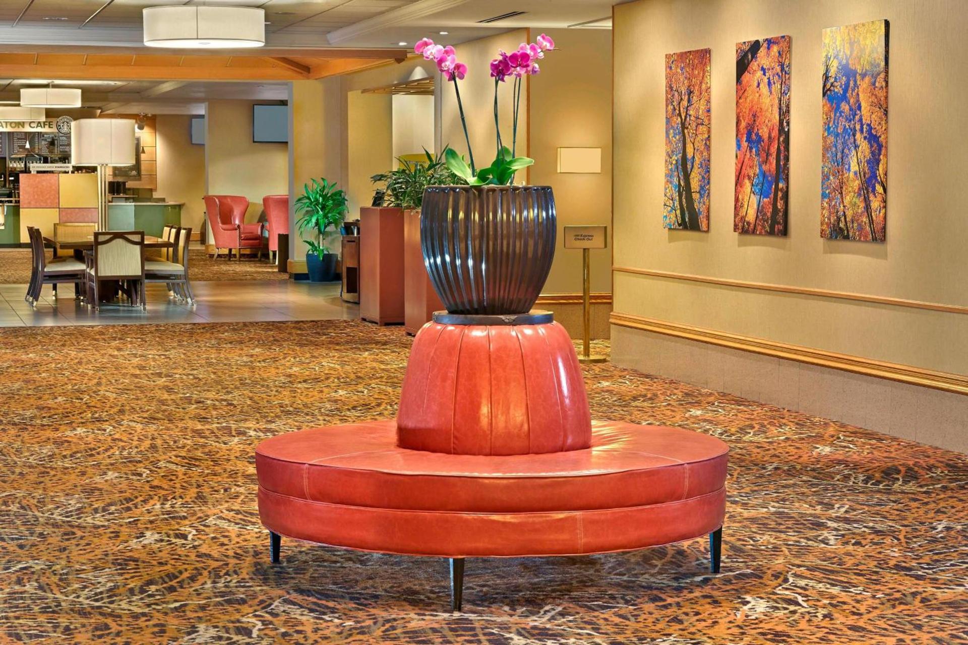 Sheraton Hartford Hotel at Bradley Airport photo 22