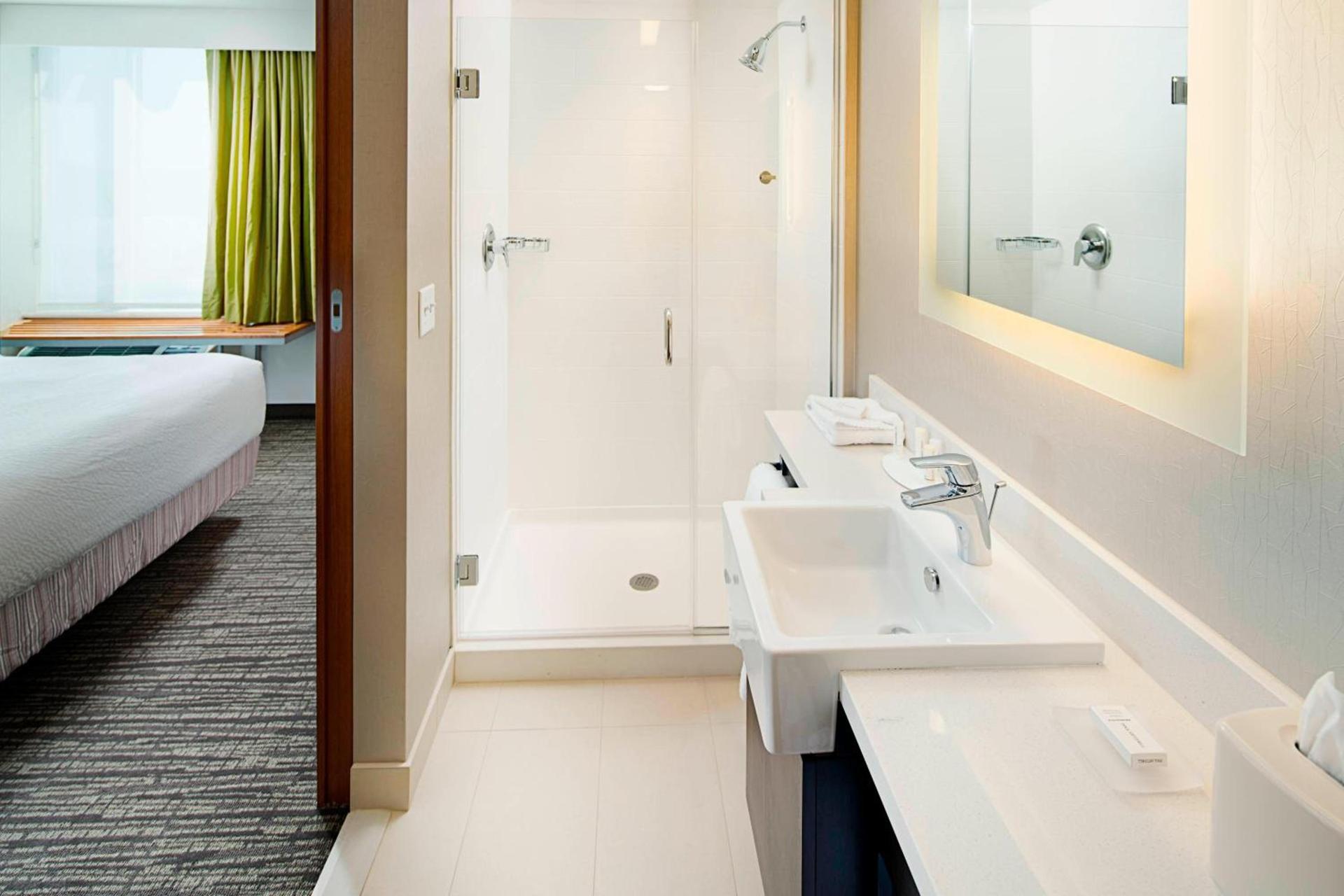 SpringHill Suites by Marriott Carle Place Garden City photo 10