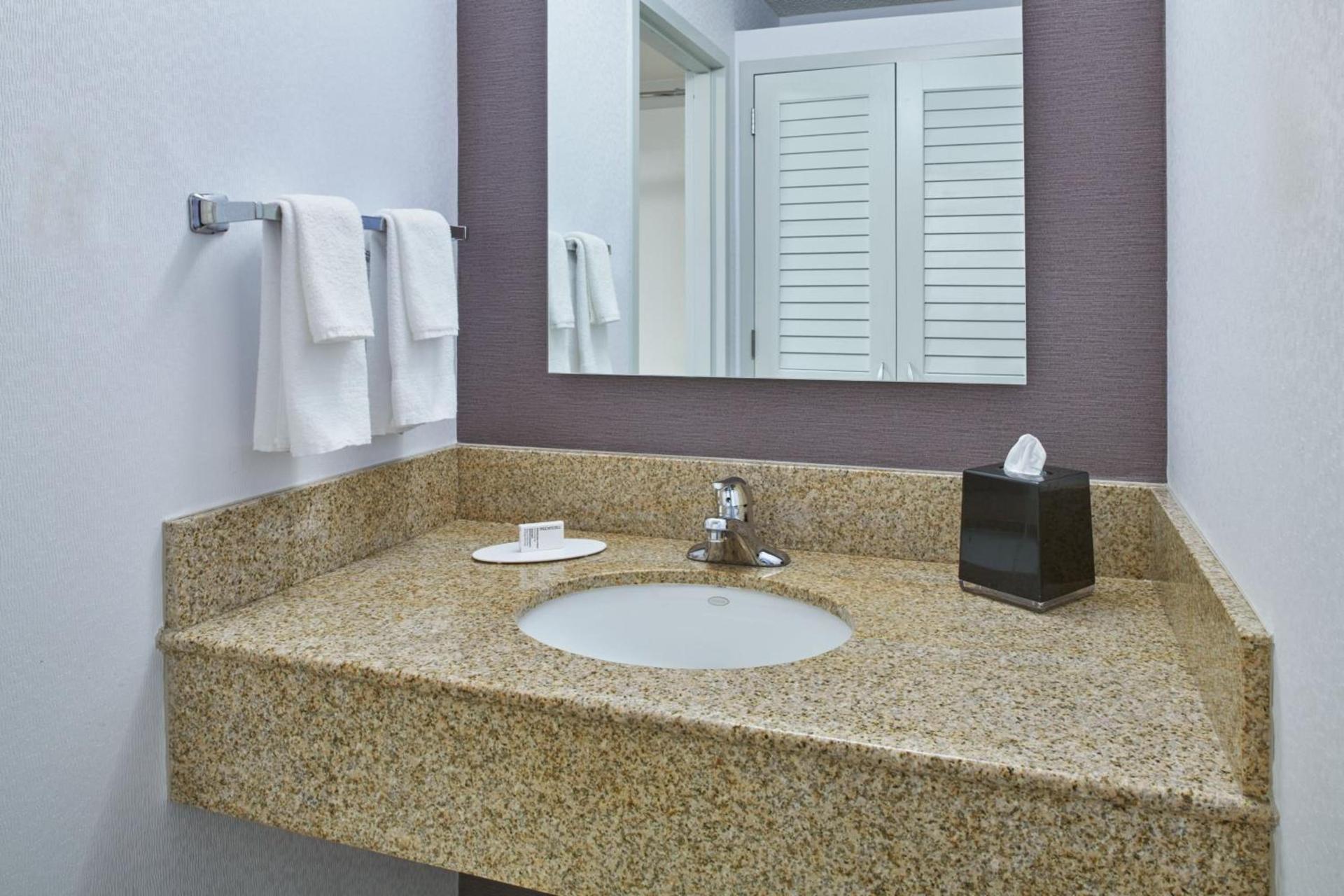 Courtyard by Marriott Detroit Troy photo 10