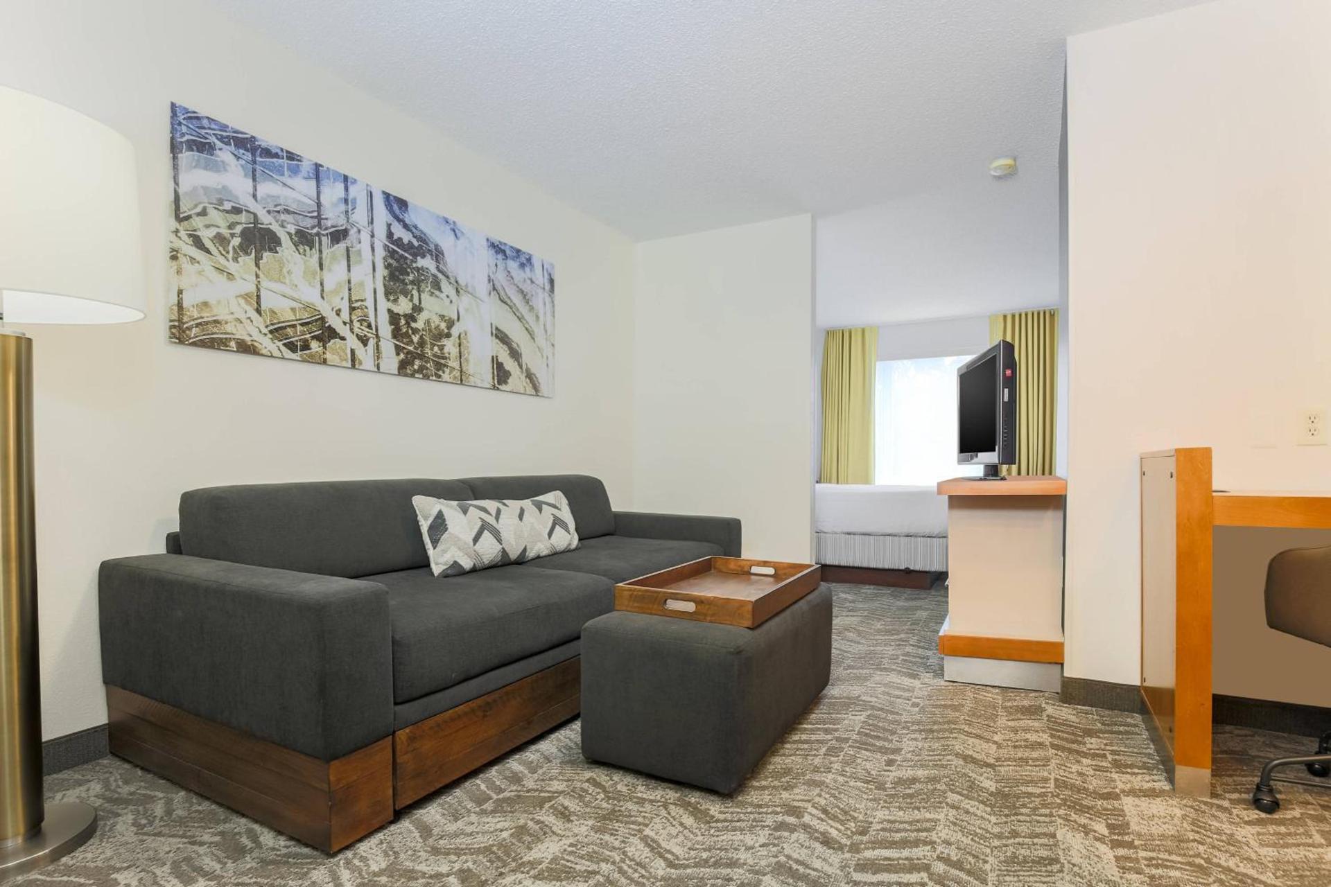 SpringHill Suites by Marriott Houston Brookhollow photo 8