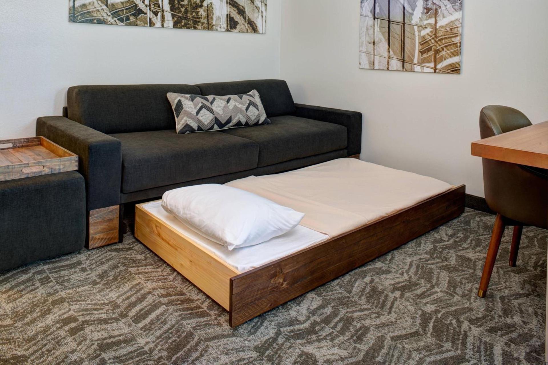 SpringHill Suites by Marriott Saginaw photo 11