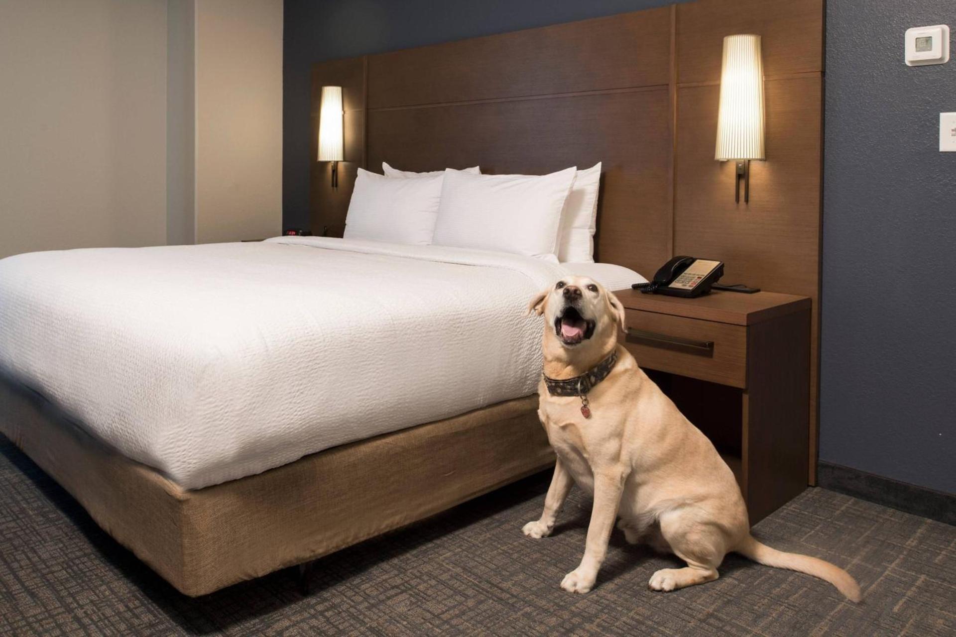 Residence Inn Memphis Downtown photo 16